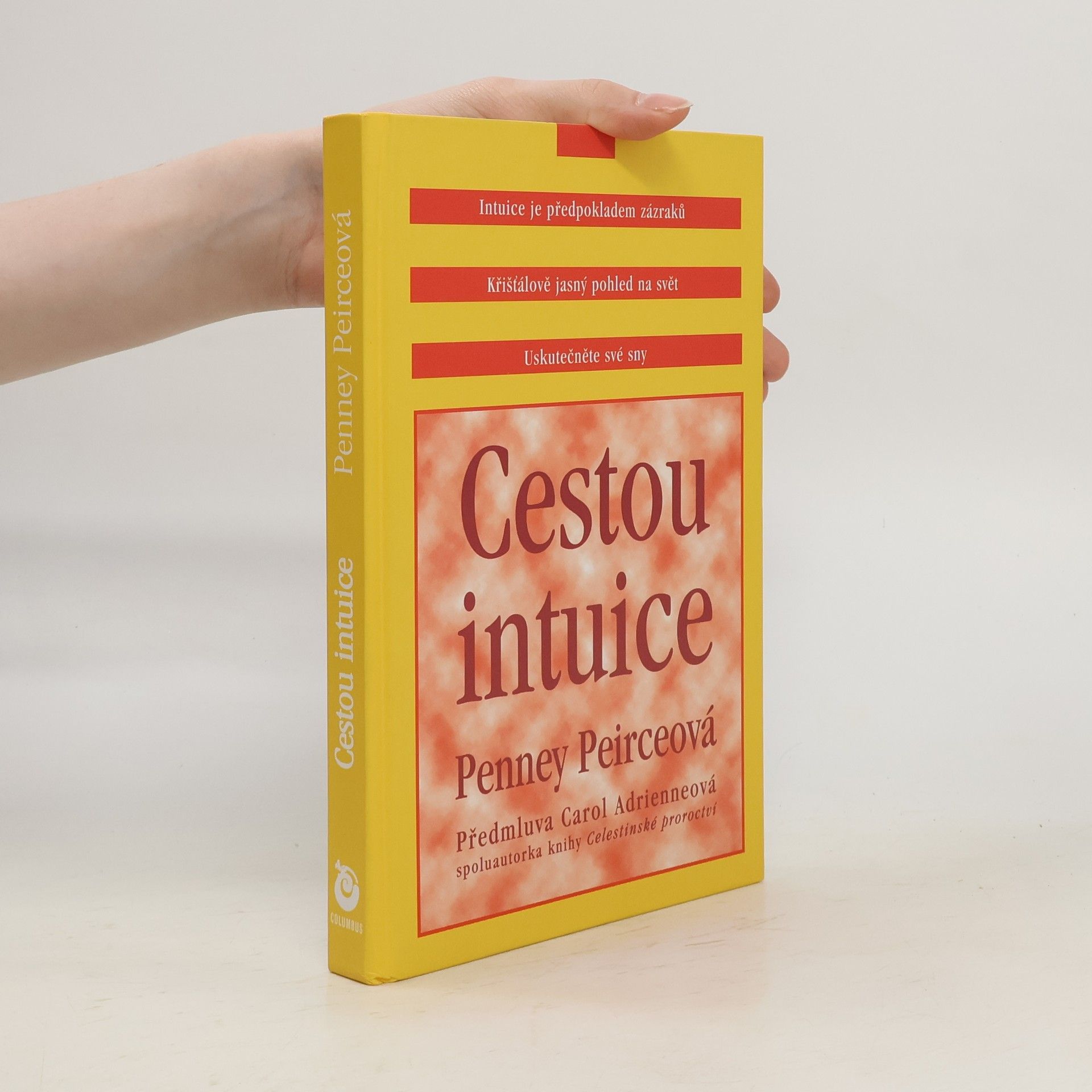 Penney Peirce Cestou intuice: Průvodce životem pod vedením vnitřní moudrosti