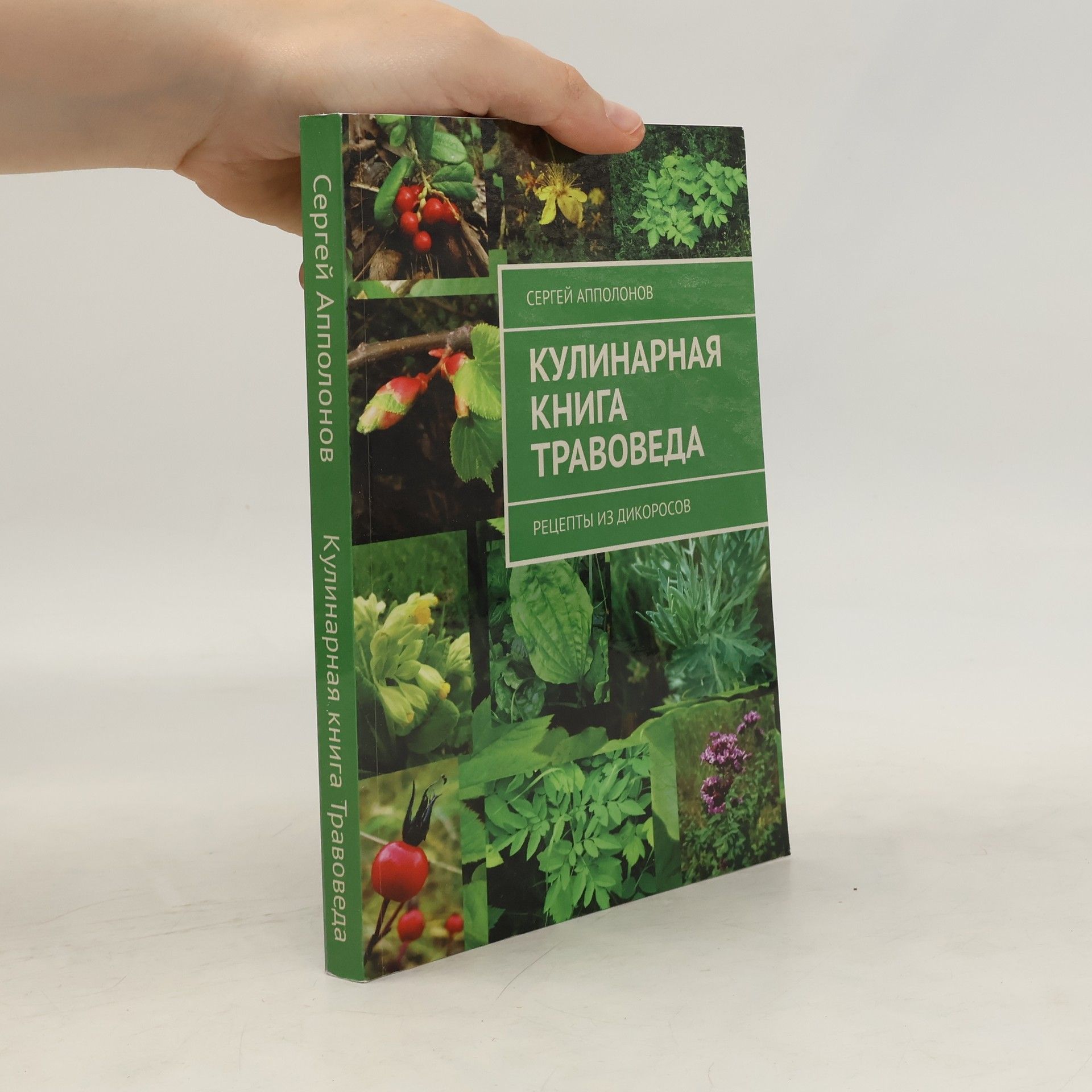 Сергей Апполонов Кулинарная книга травоведа. Рецепты из дикоросов