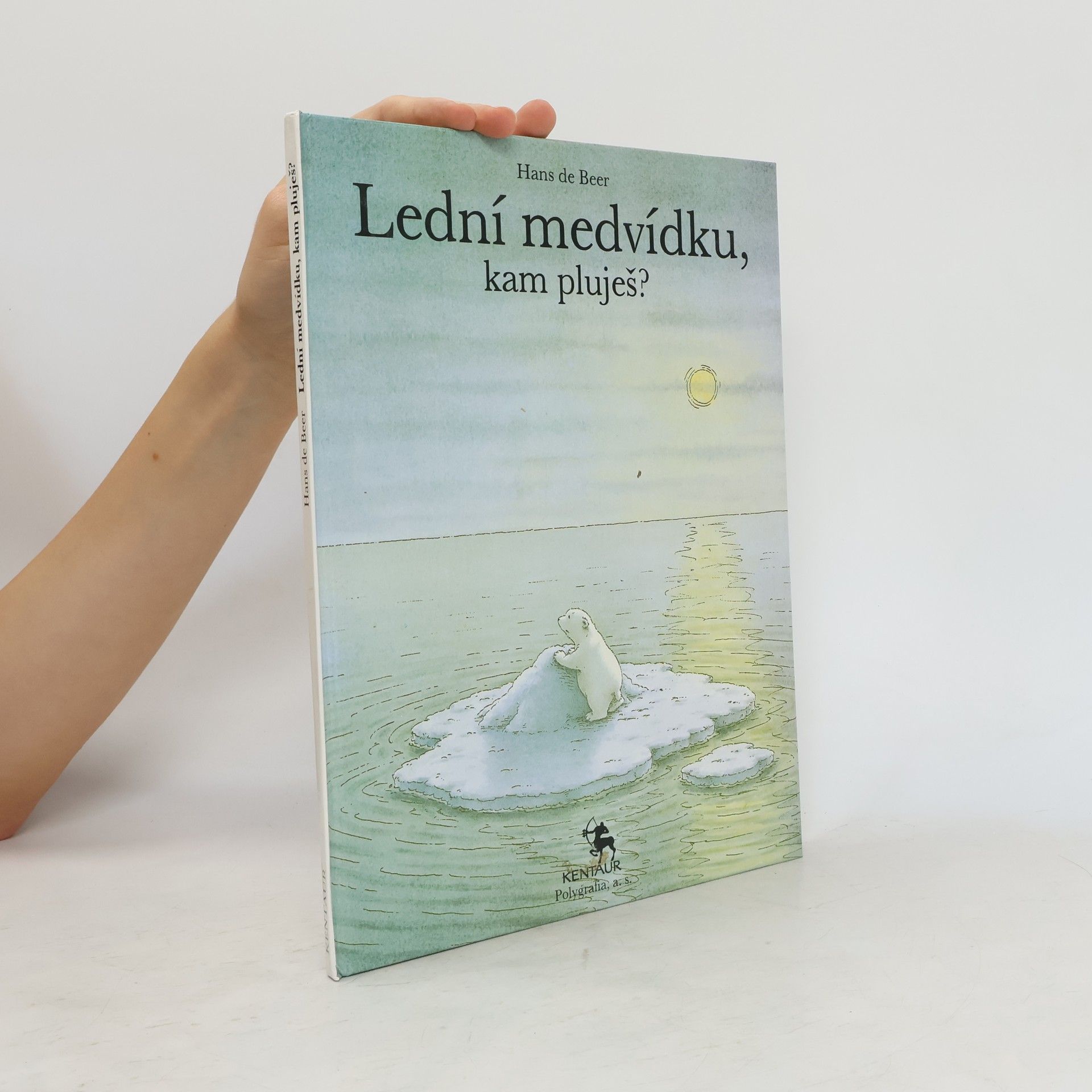 Hans de Beer Lední medvídku, kam pluješ?