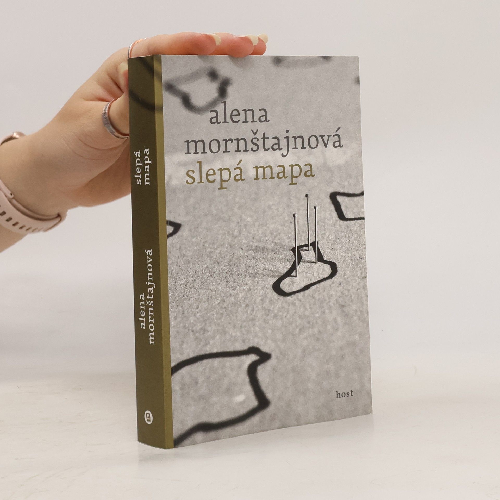 Alena Mornštajnová Slepá mapa