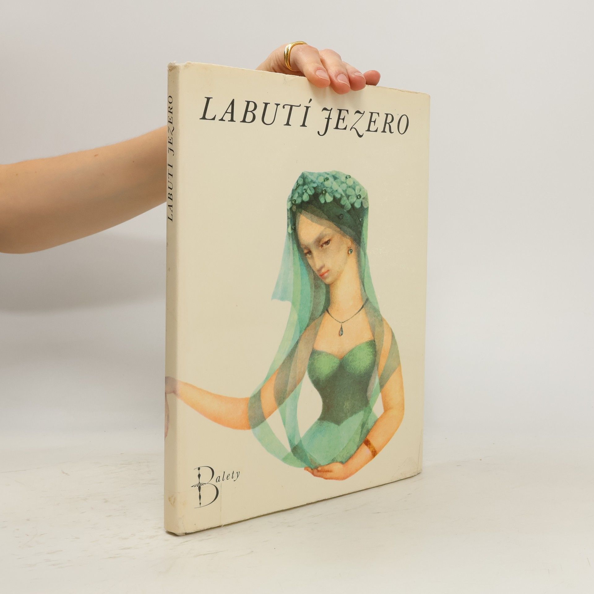Kamil Bednář Labutí jezero