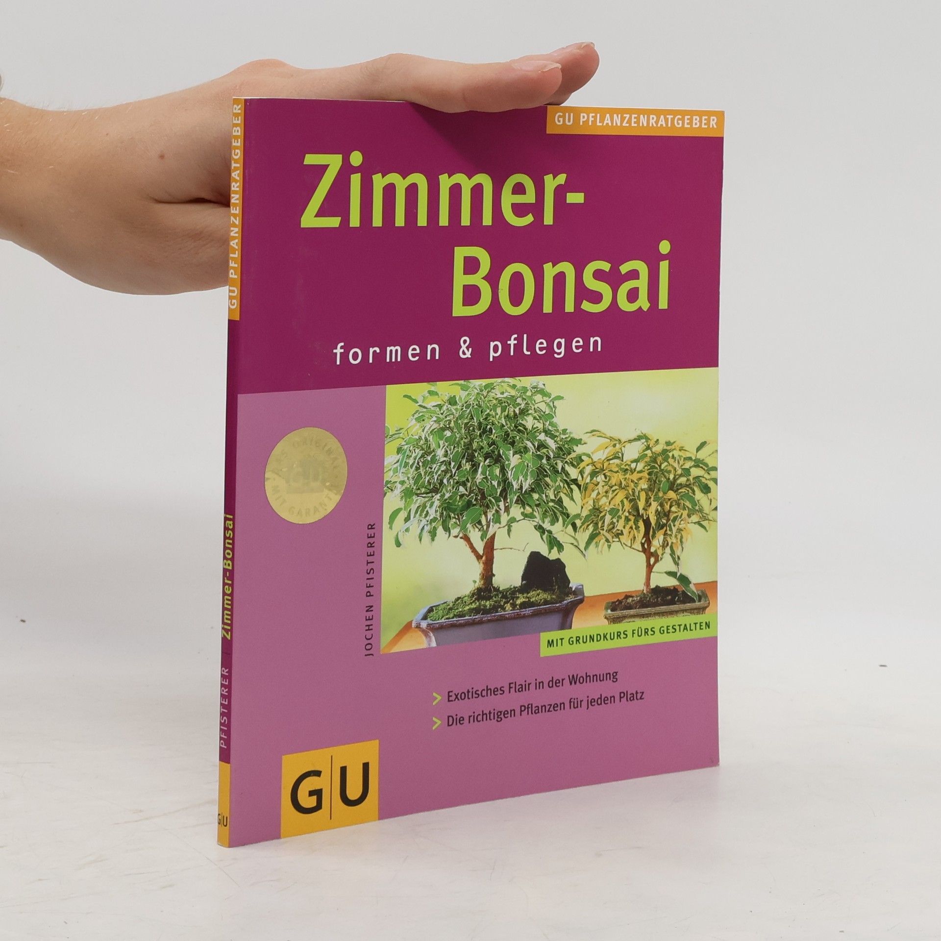 Jochen Pfisterer Zimmer-Bonsai