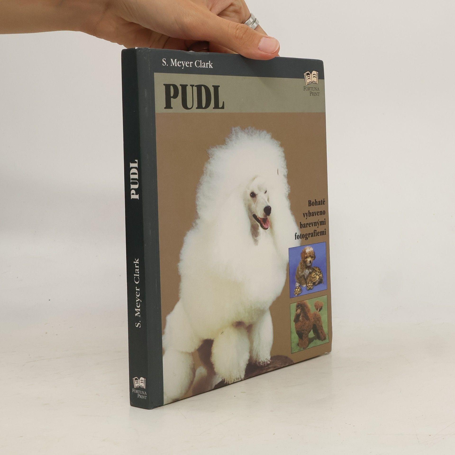 S. Mayer Clark Pudl