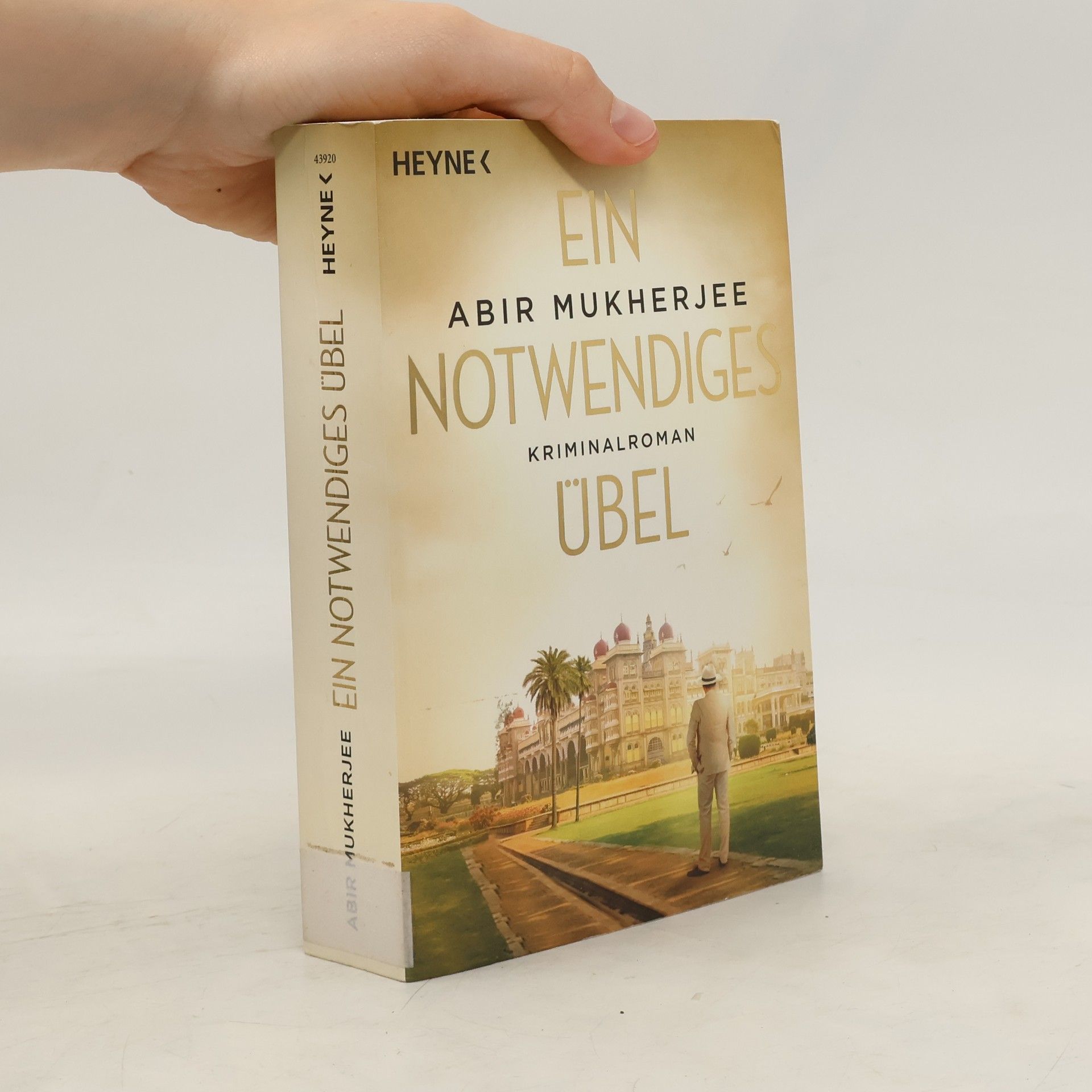 Abir Mukherjee Ein notwendiges Übel