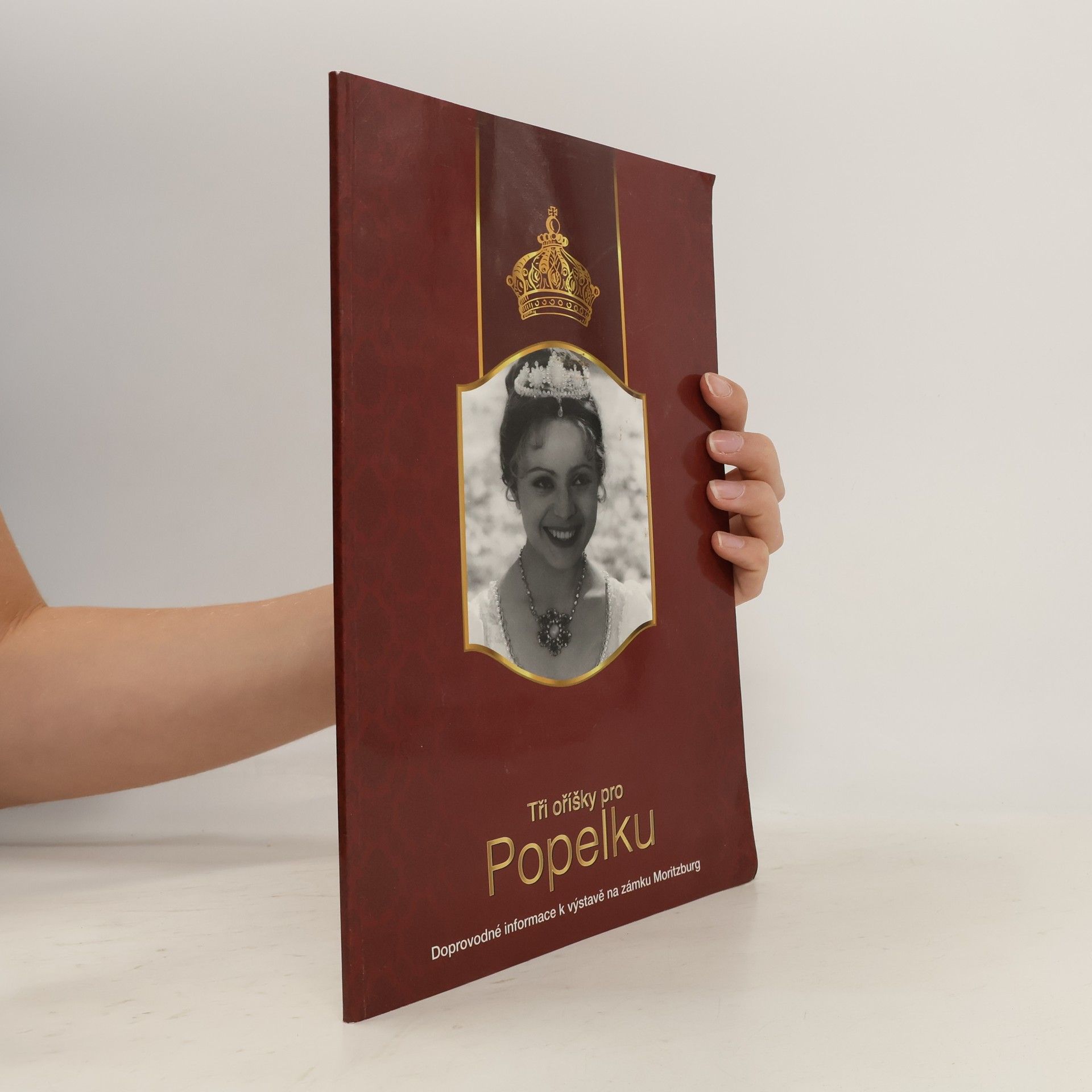 AA.VV. Tři oříšky pro Popelku