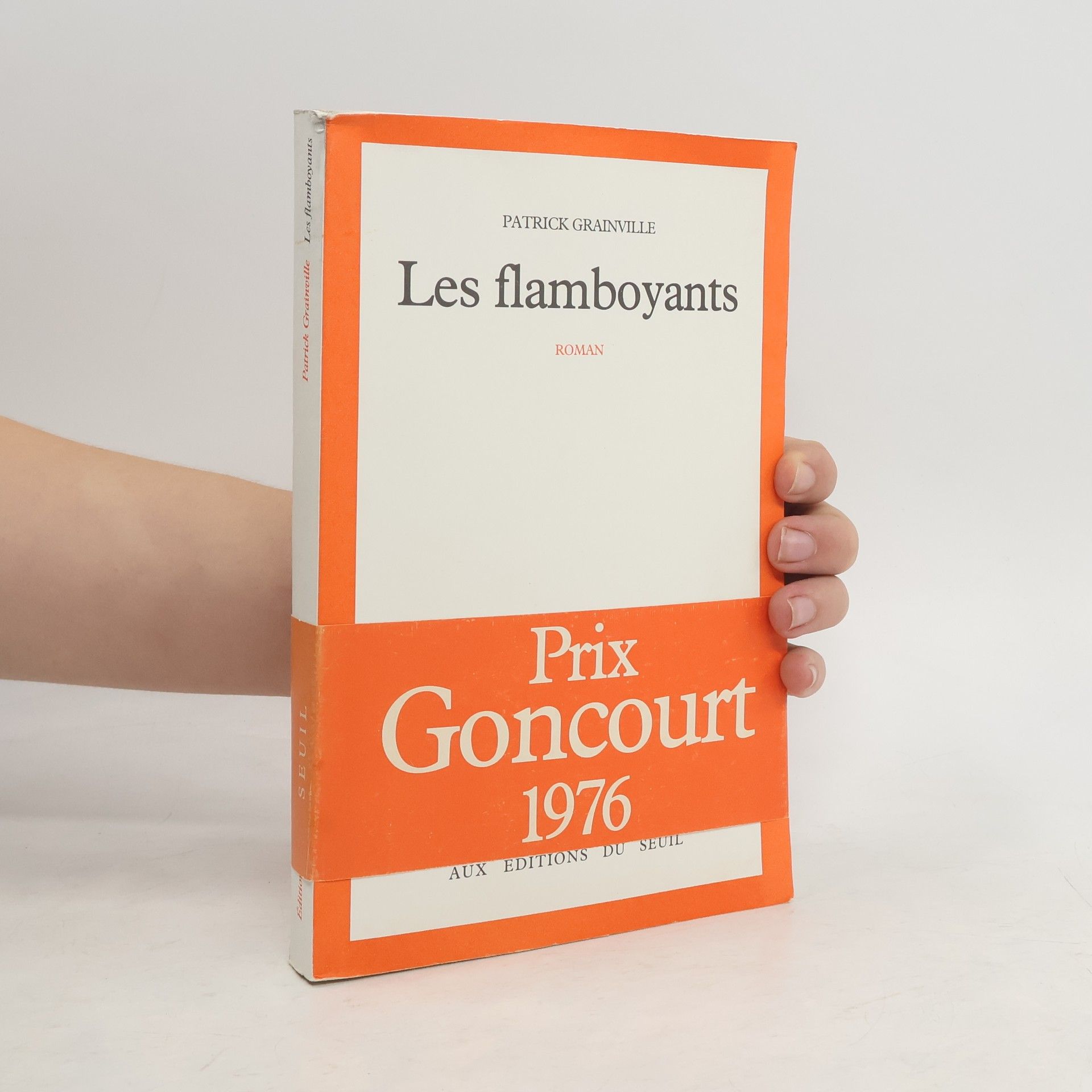 Patrick Grainville Les flamboyants