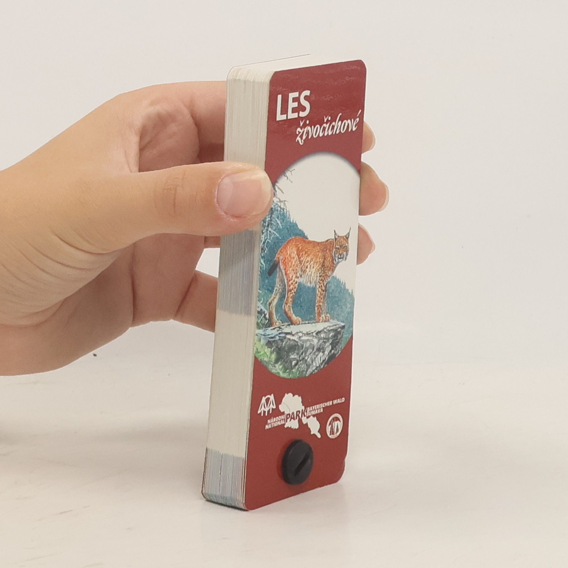 Kolektiv autorů Les. Živočichové