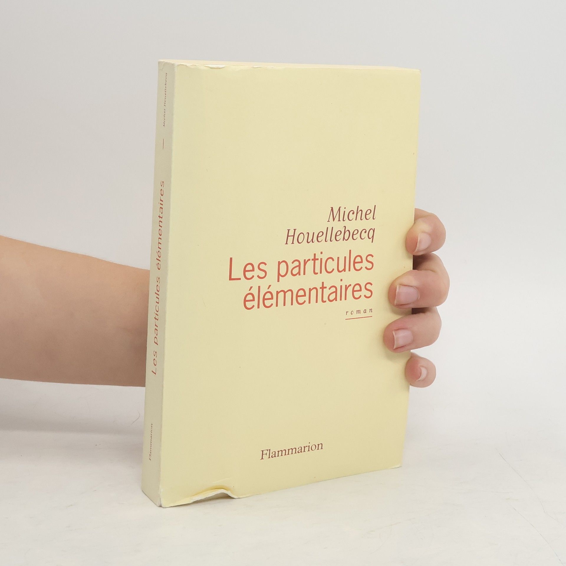 Michel Houellebecq Les Particules élémentaires