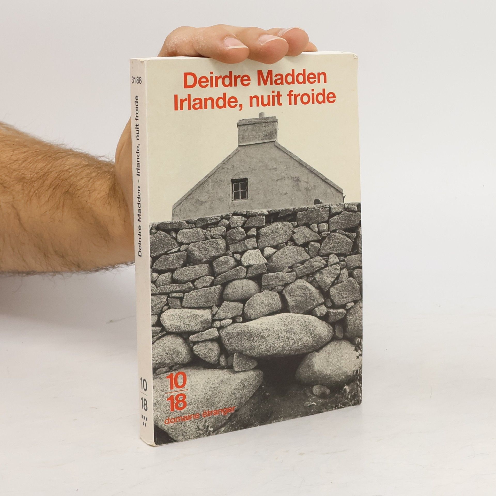 Deirdre Madden Domaine étranger: Irlande, nuit froide