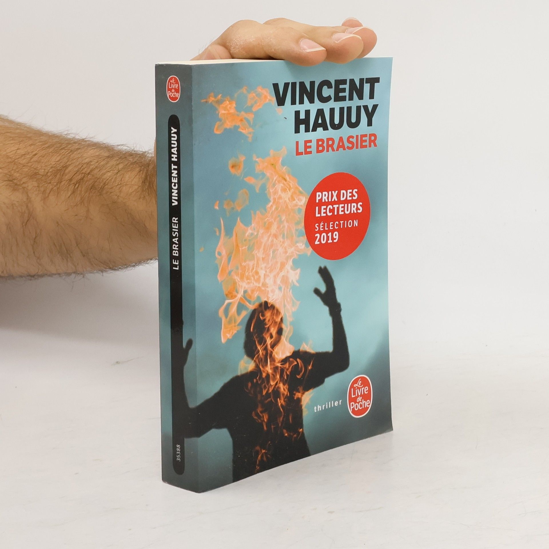 Vincent Hauuy Le Brasier