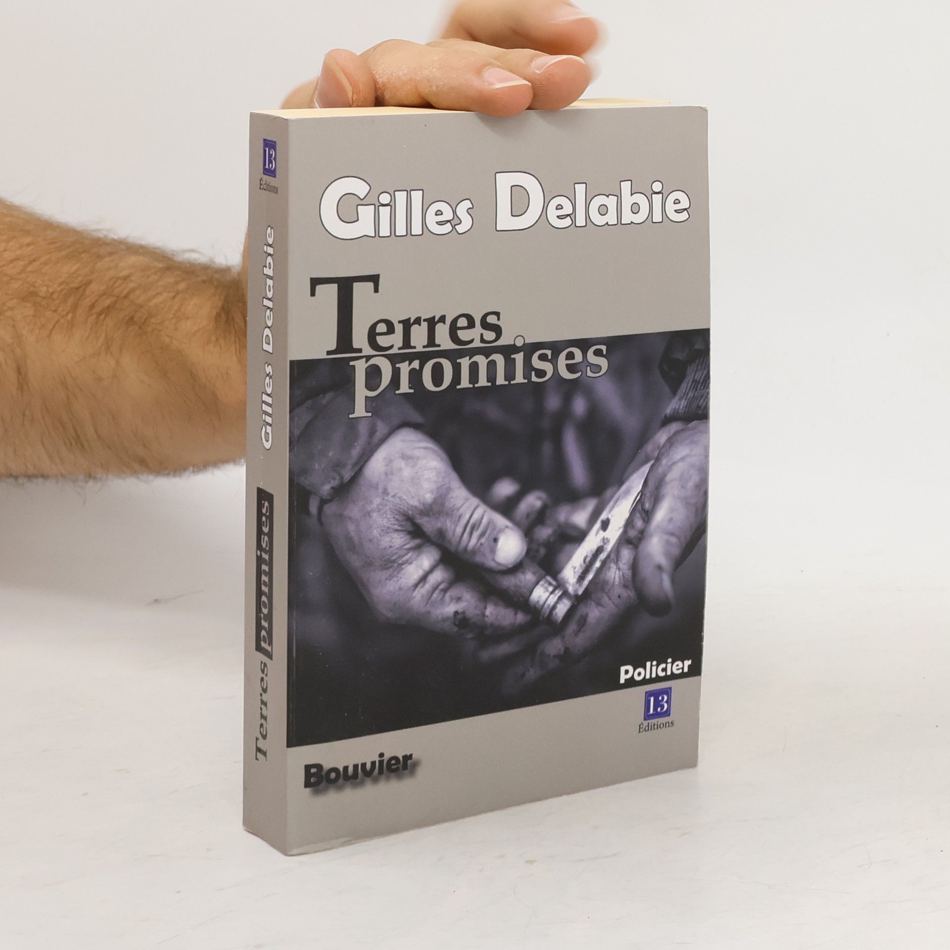 Gilles Delabie Terres promises