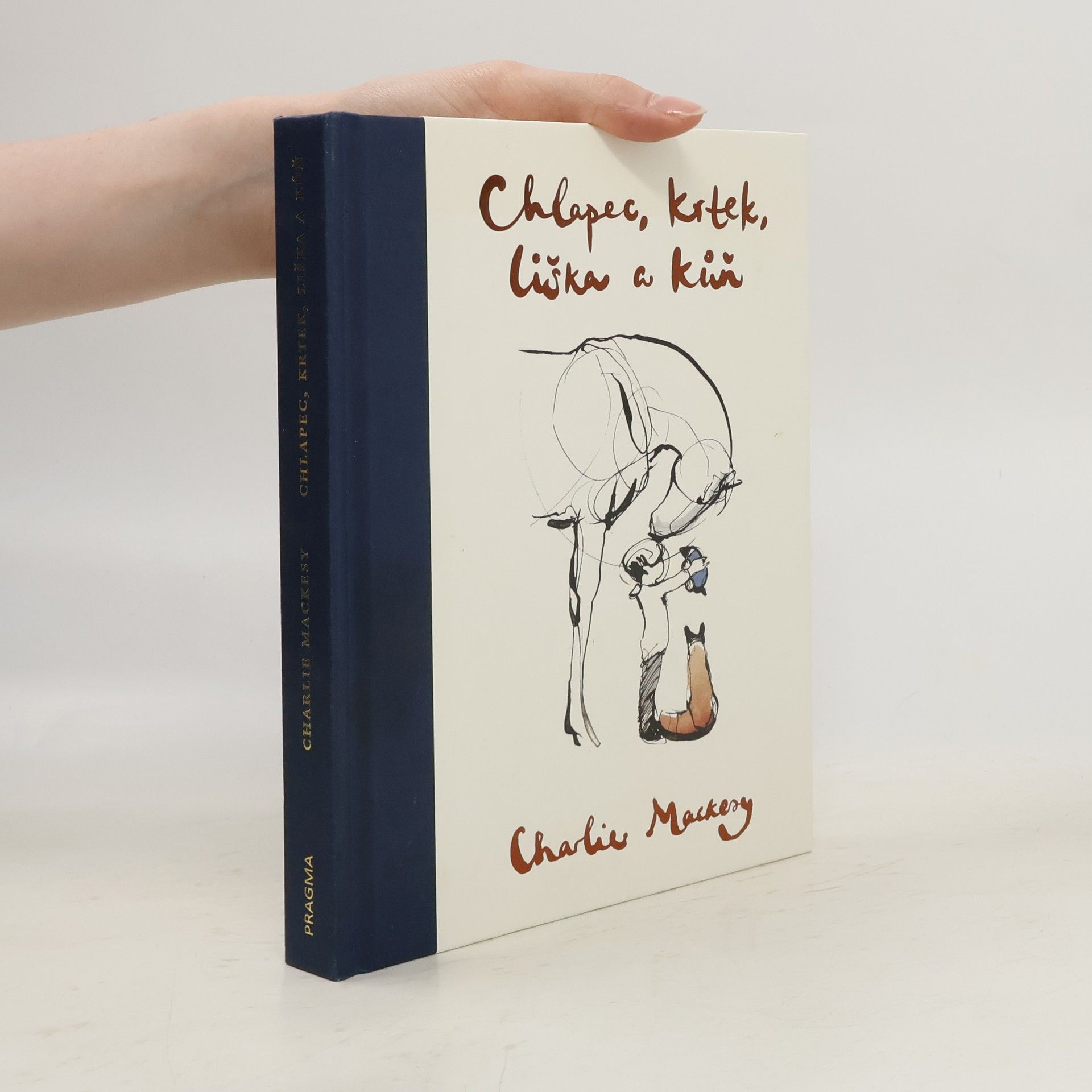 Charlie Mackesy Chlapec, krtek, liška a kůň