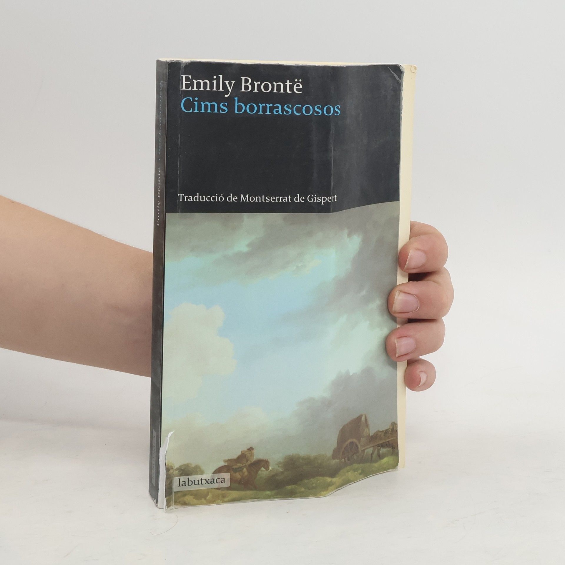 Emily Brontë Cims borrascosos