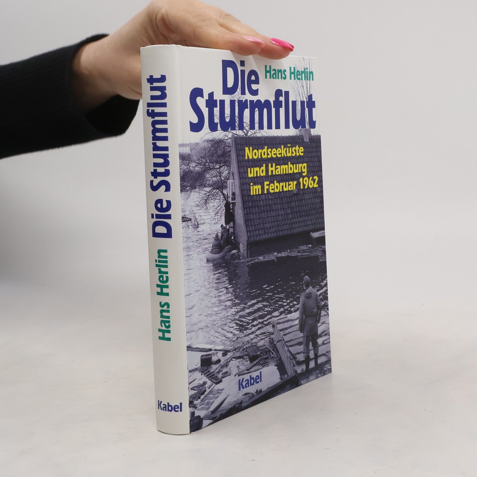 Hans Herlin Die Sturmflut