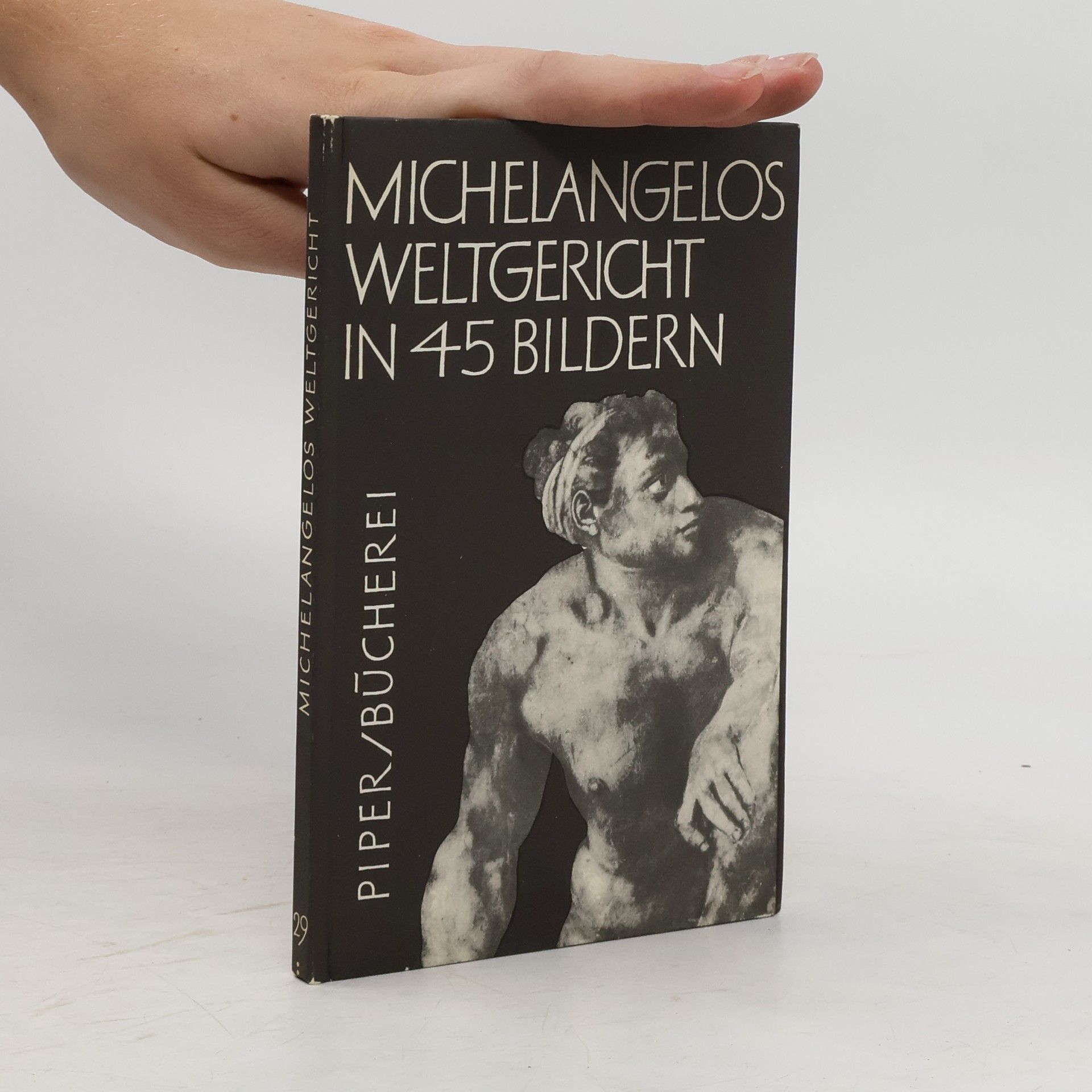 Collectif d'auteurs Michelangelos Weltgericht in 45 Bildern