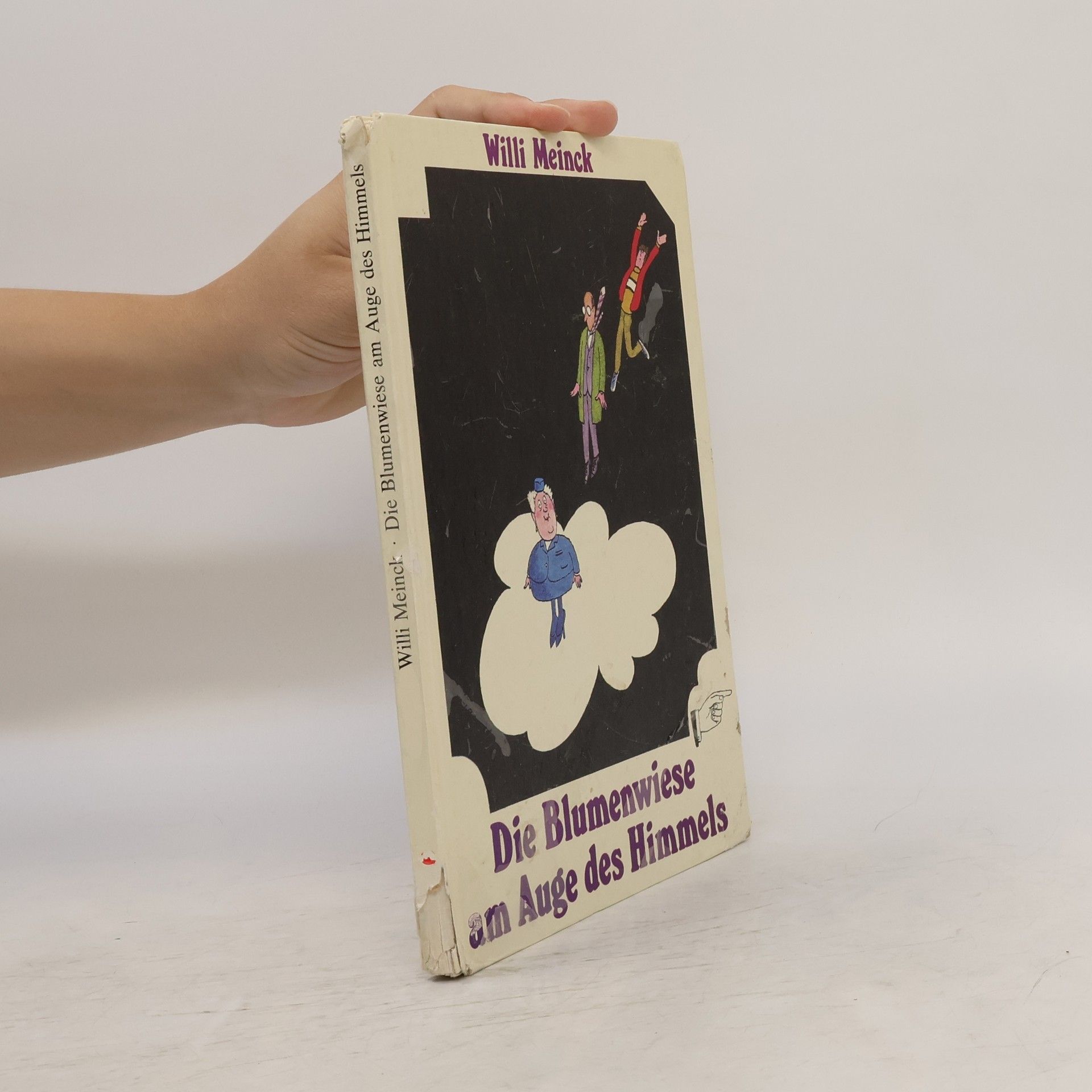 Willi Meinck Die Blumenwiese am Auge des Himmels