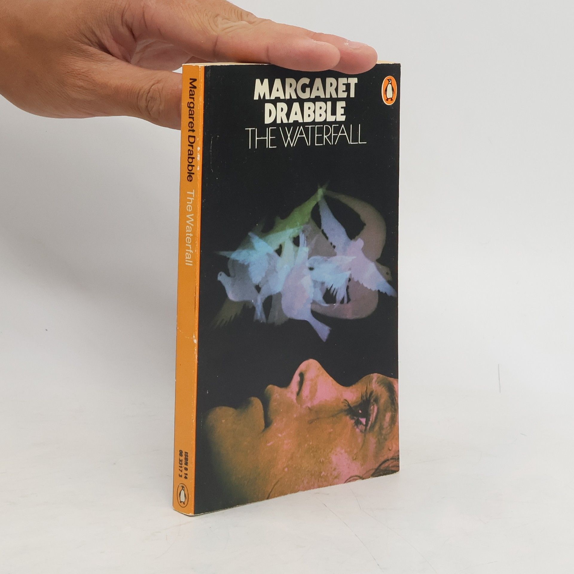 Margaret Drabble The Waterfall