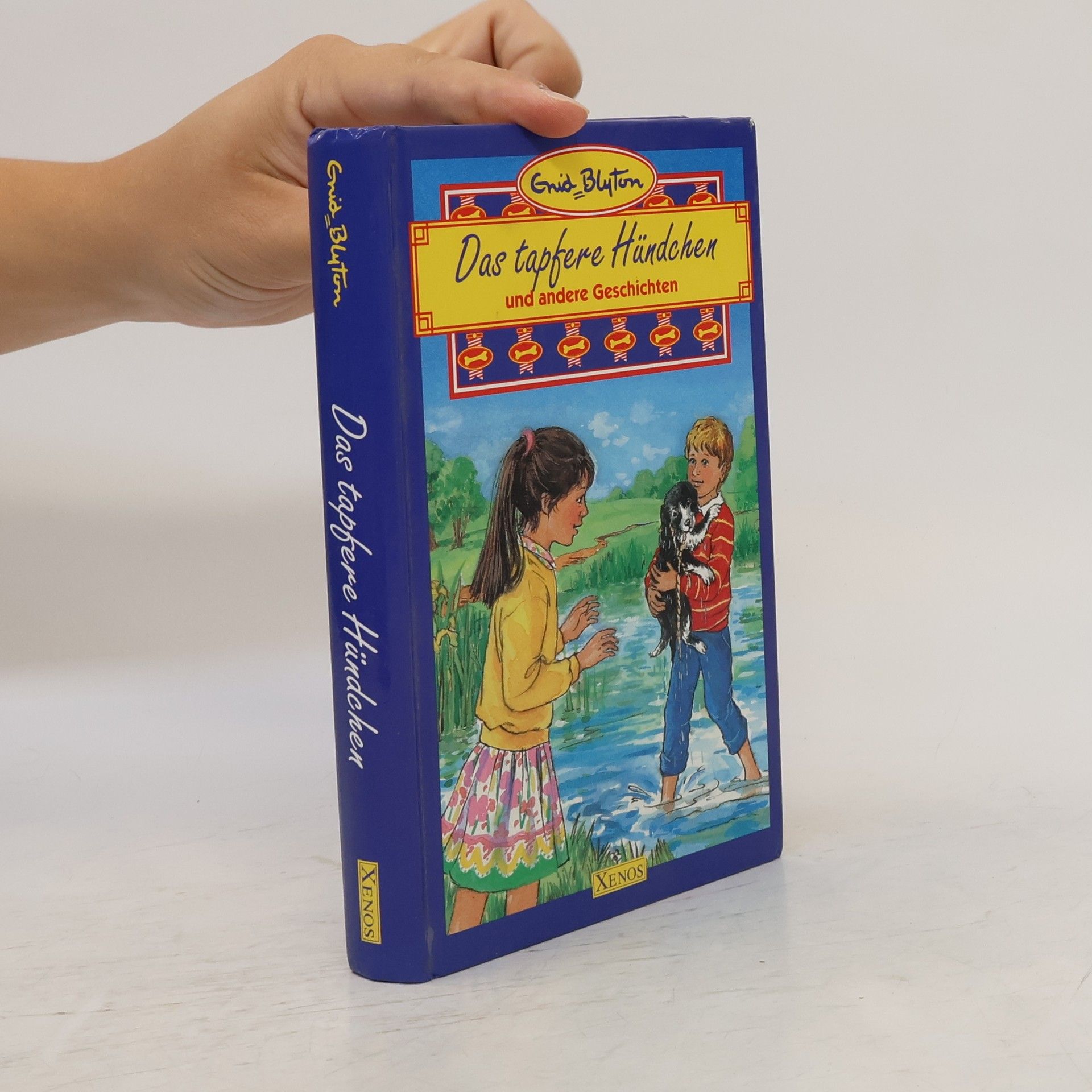 Enid Blyton Das tapfere Hündchen