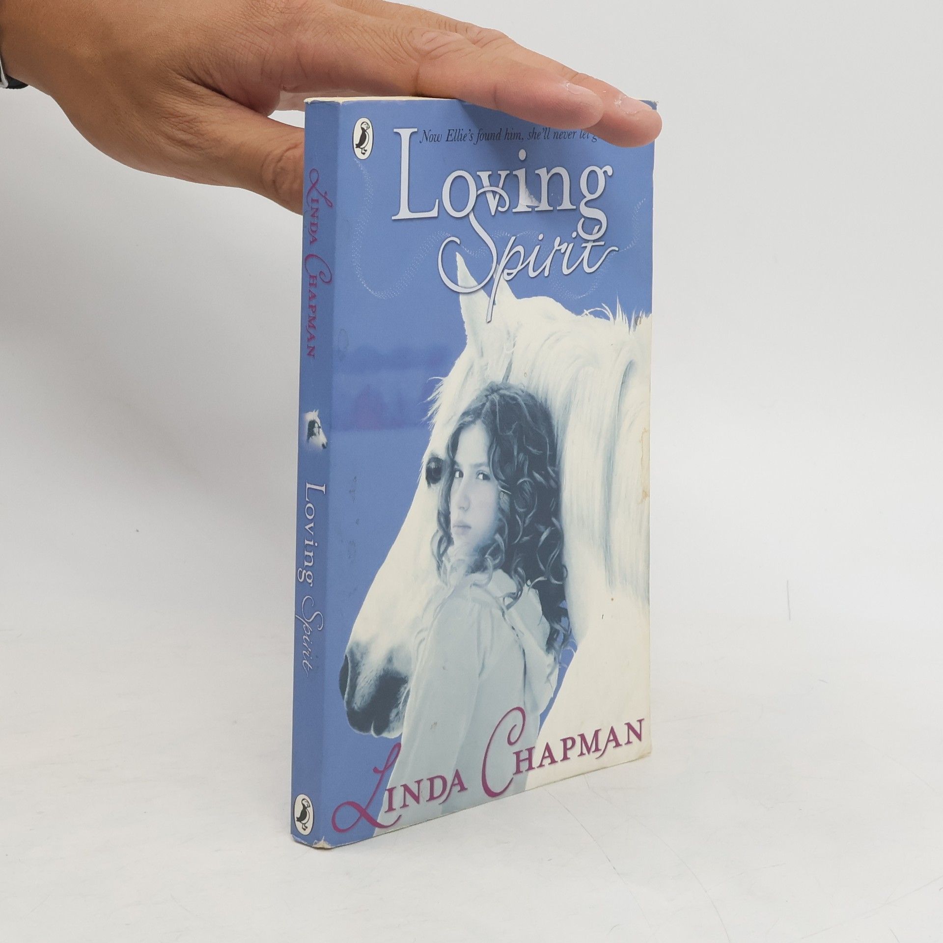 Linda Chapman Loving Spirit