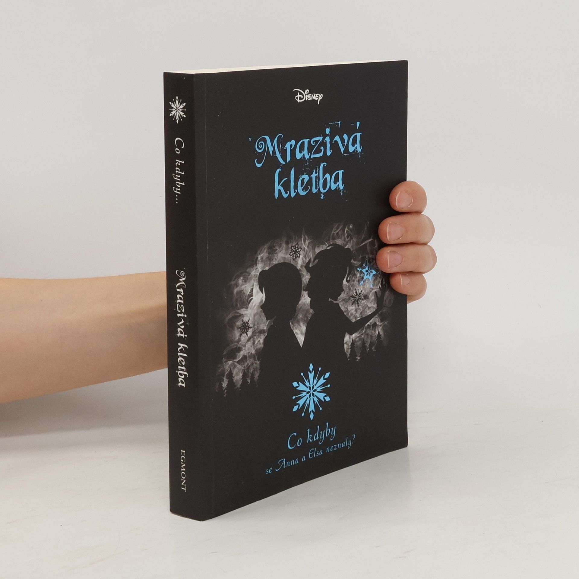 Jen Calonita Mrazivá kletba