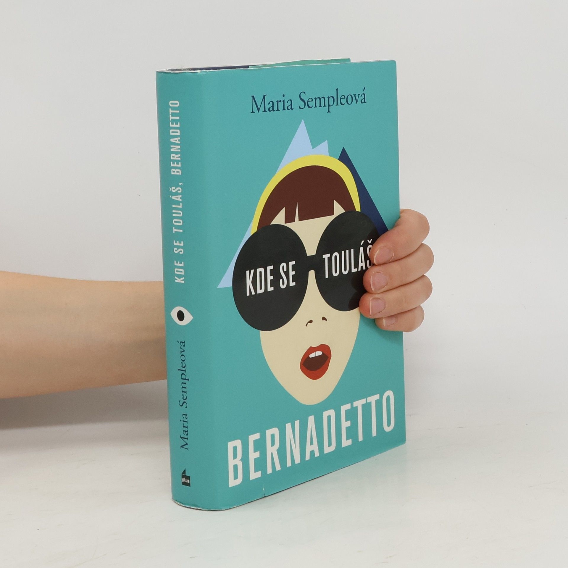Maria Semple Kde se touláš, Bernadetto