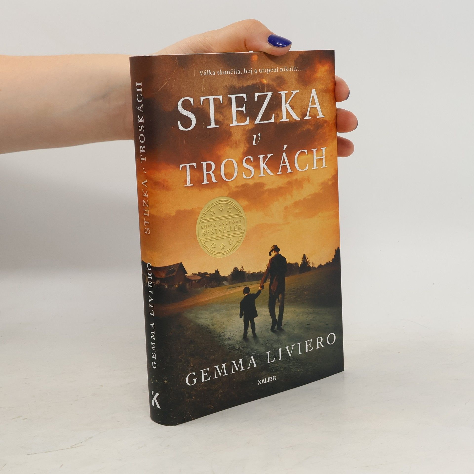Gemma Liviero Stezka v troskách