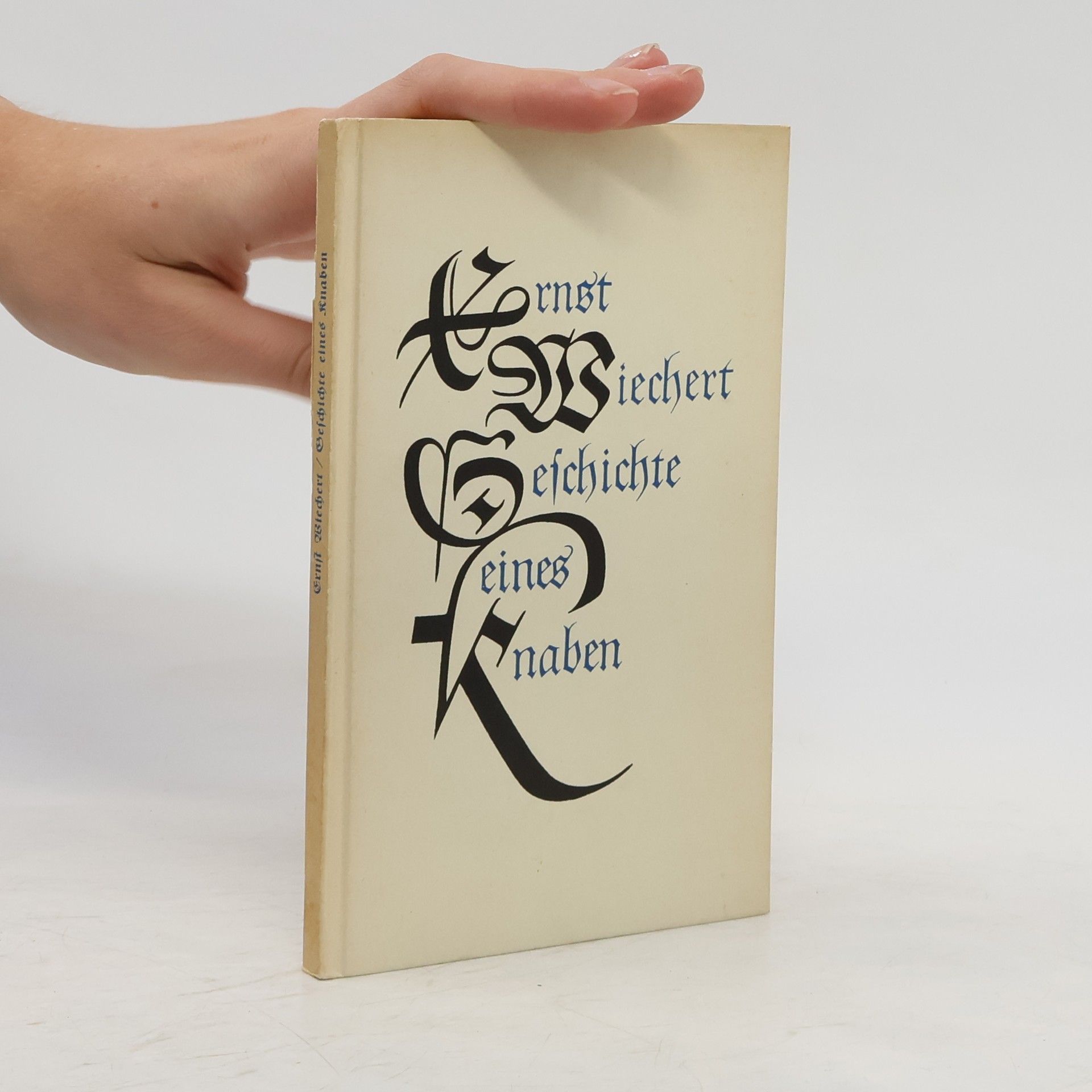 Ernst Wichert Geschichte eines Knaben