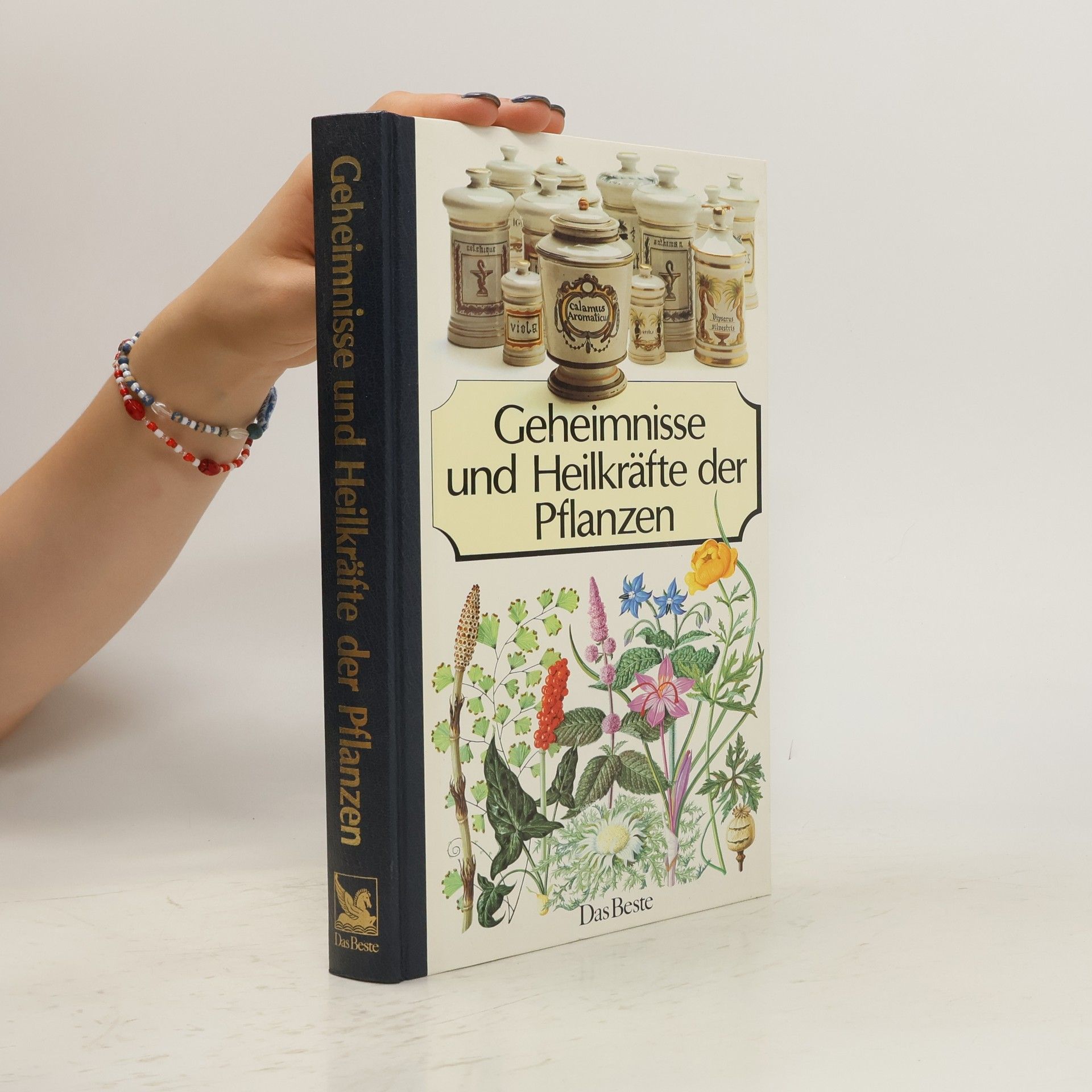 Autorenkollektiv Geheimnisse und Heilkräfte der Pflanzen