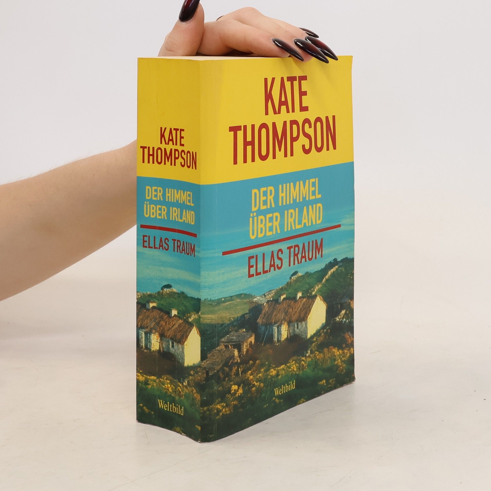 Kate Thompson Der Himmel über Irland