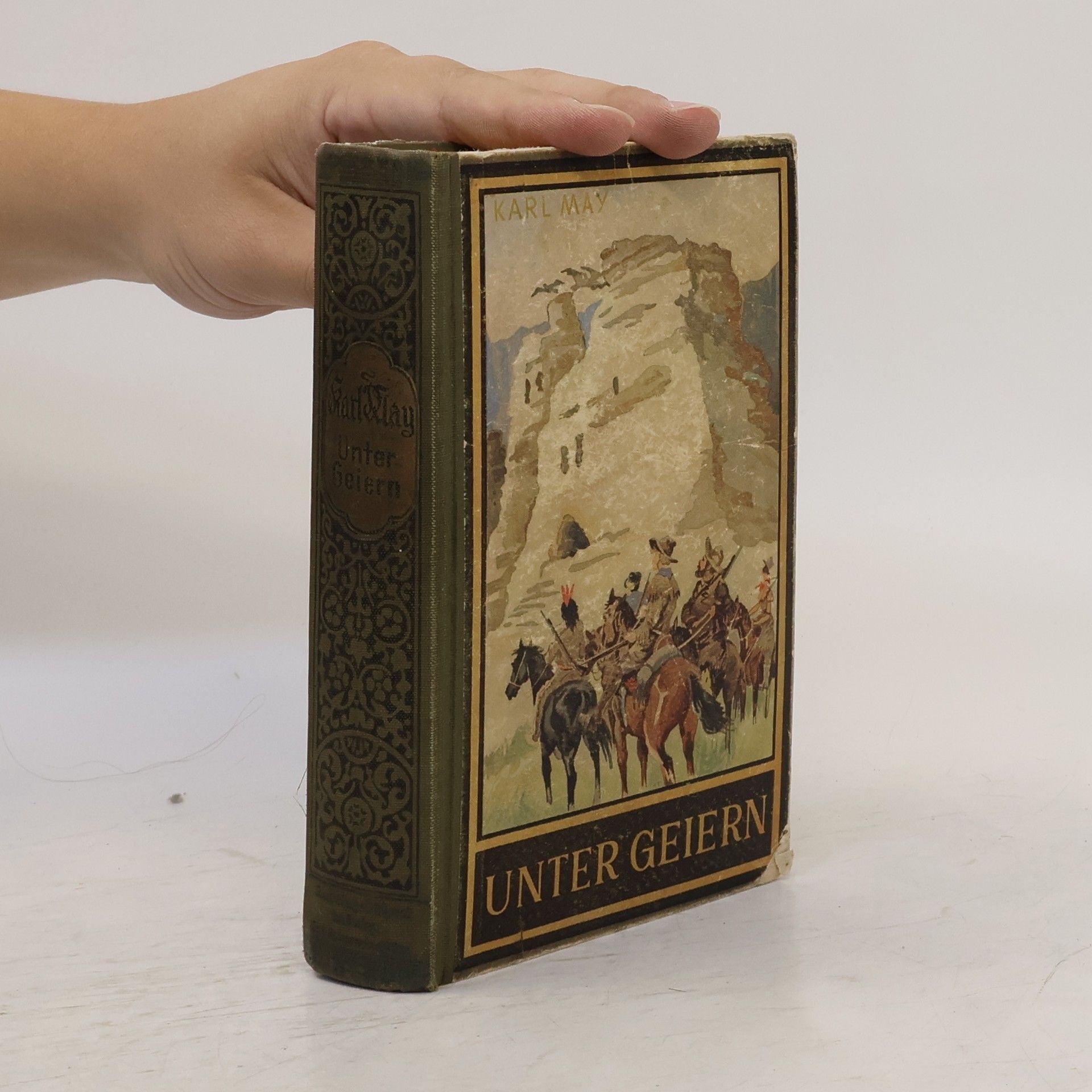 Karl May Unter Geiern