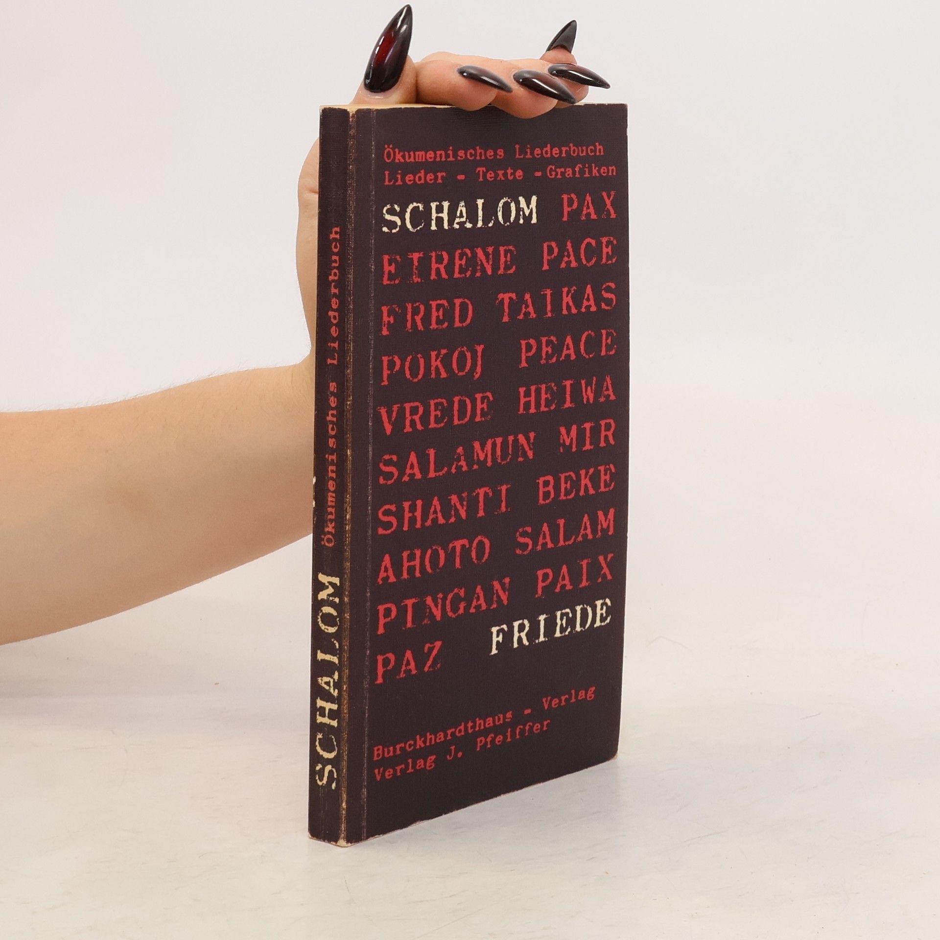 Kolektiv autorů Schalom. Ökumenisches Liederbuch. Lieder, Texte, Grafiken