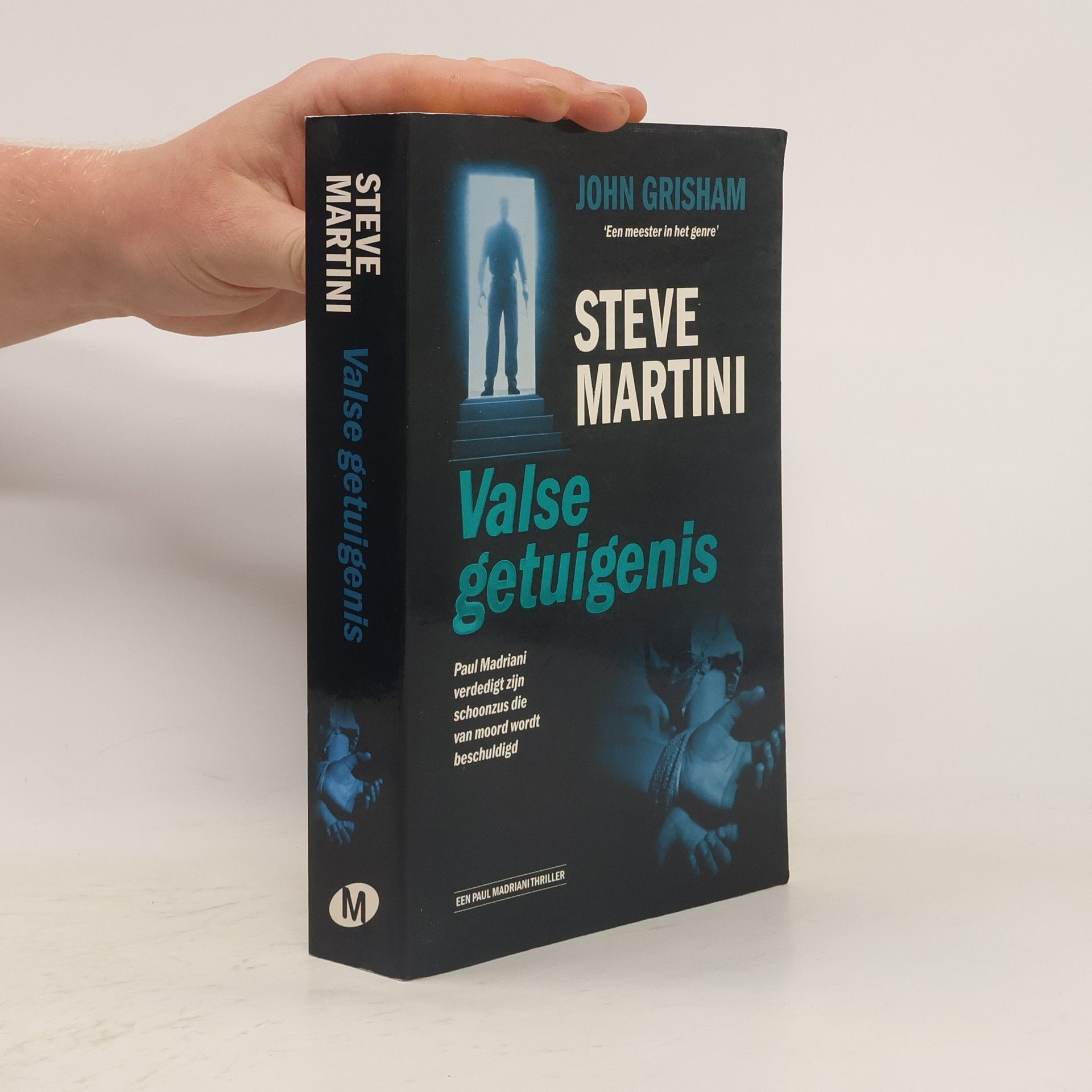 Steven Paul Martini Valse getuigenis