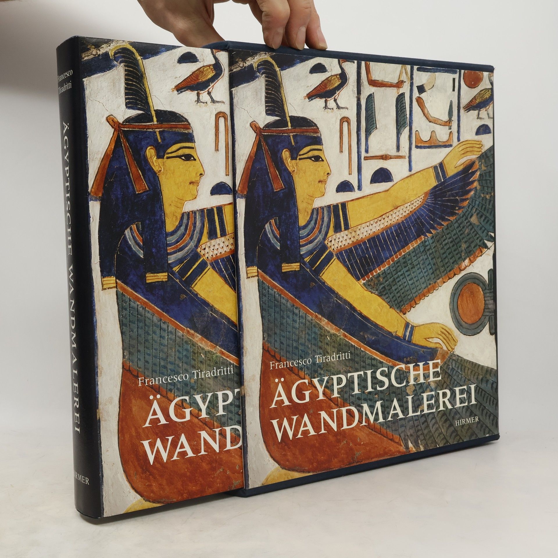 Francesco Tiradritti Ägyptische Wandmalerei