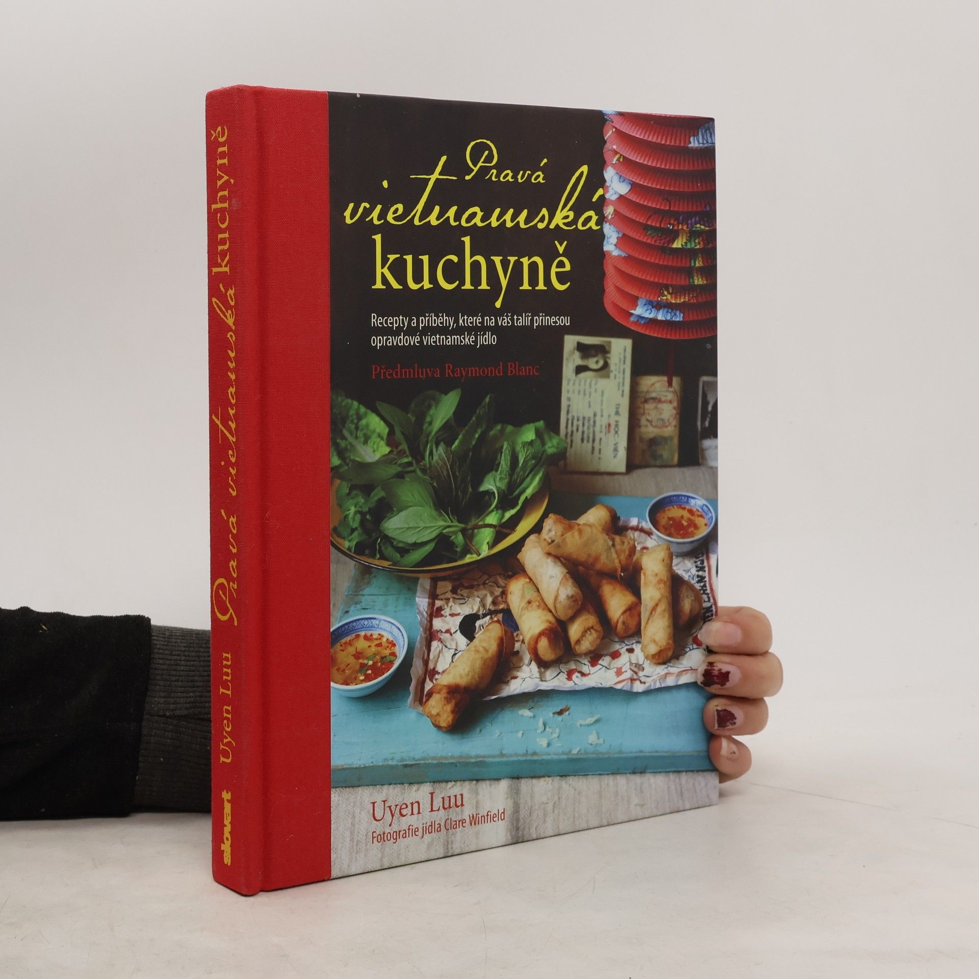 Pravá vietnamská kuchyně. Recepty a příběhy, které na váš talíř přinesou opravdové vietnamské jídlo