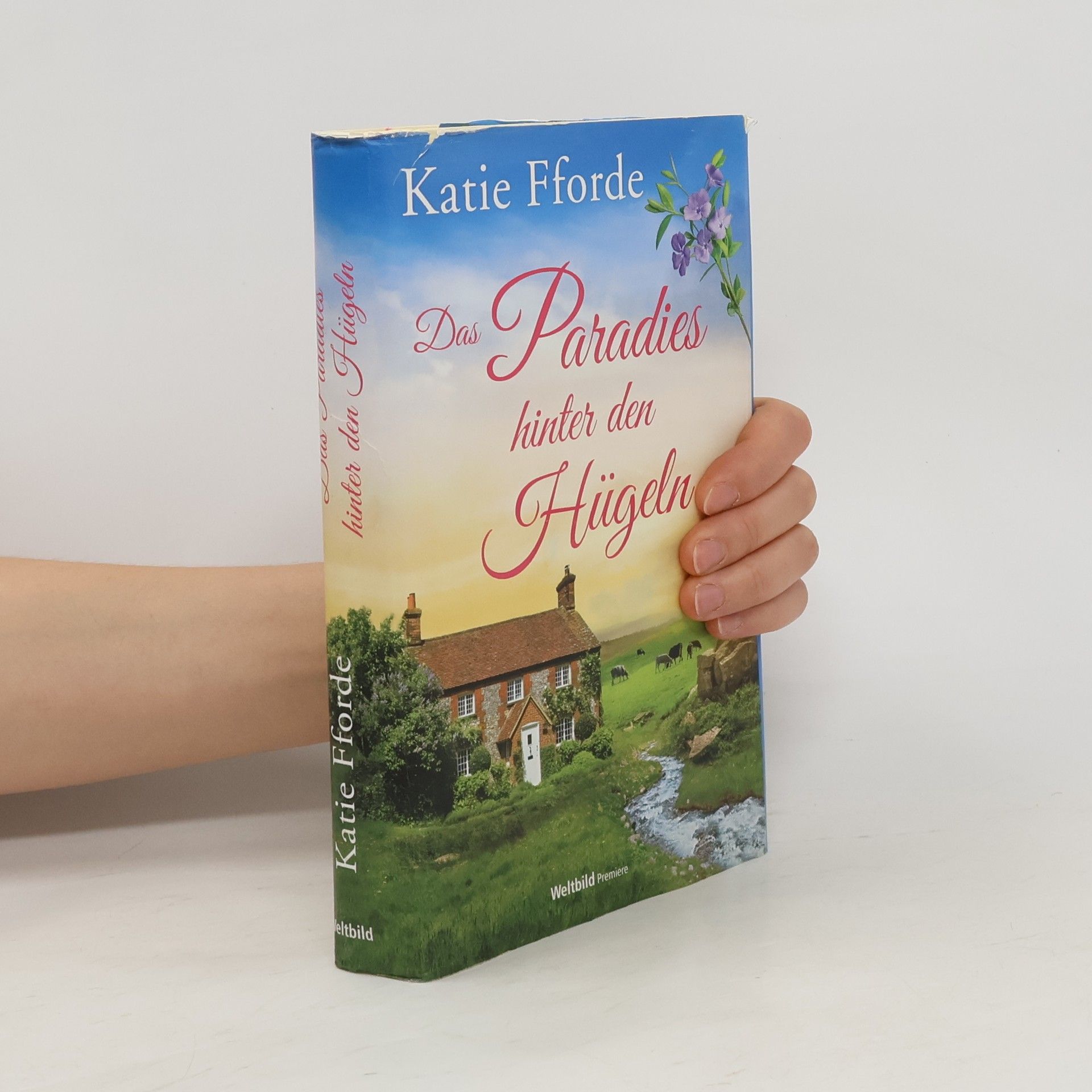 Katie Fforde Das Paradies hinter den Hügeln