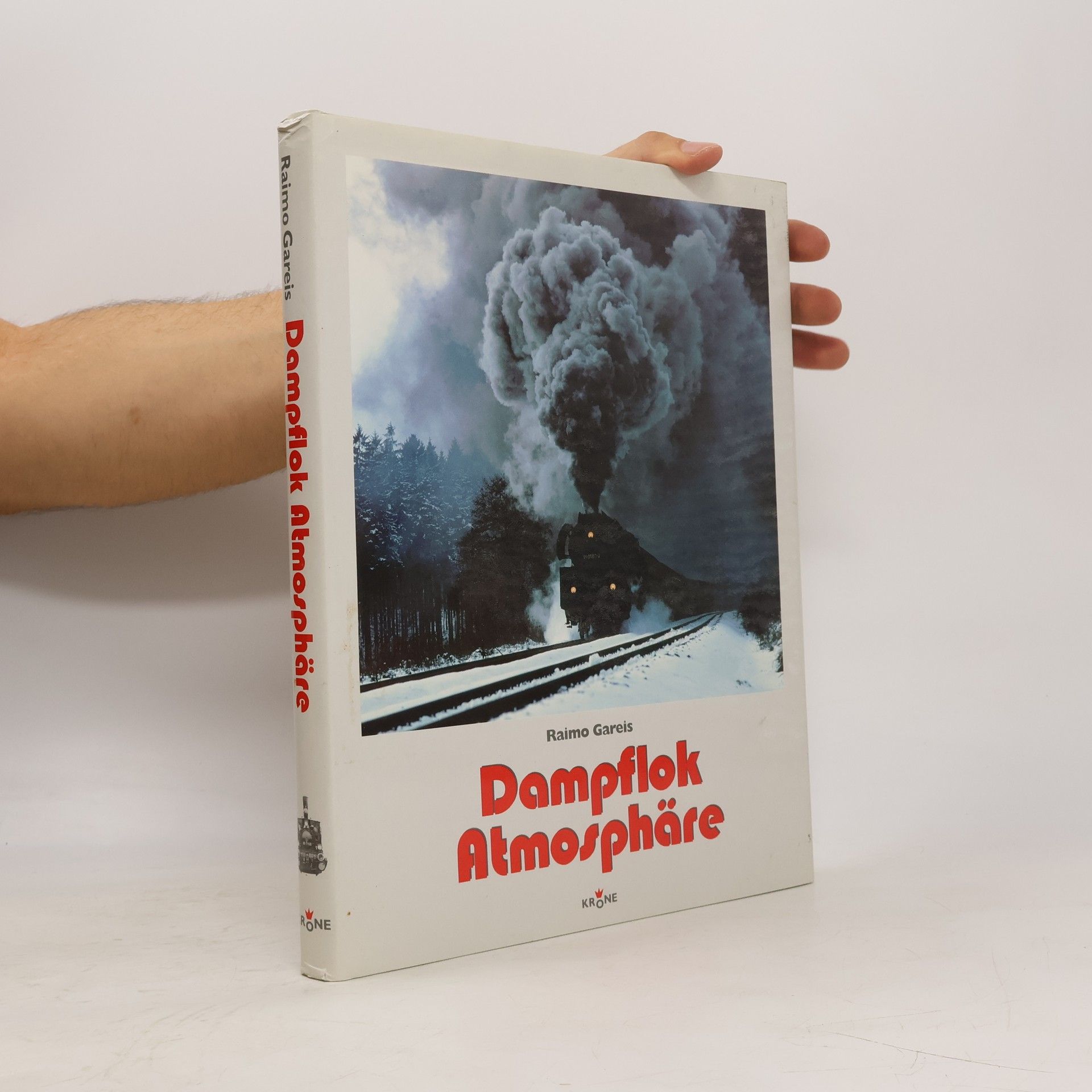Raimo Gareis Dampflok Atmosphäre