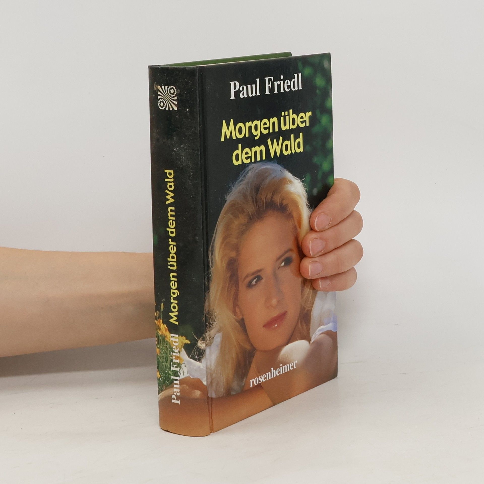 Paul Friedl Morgen über dem Wald
