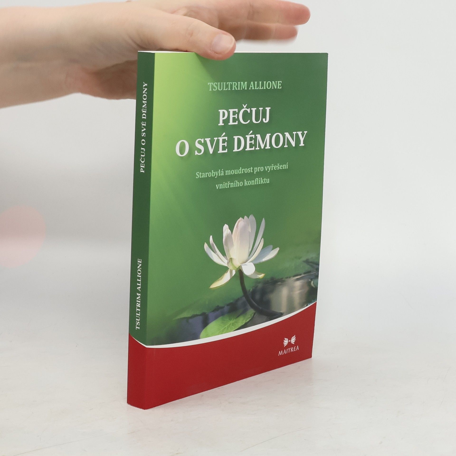 Tsultrim Allione Pečuj o své démony. Starobylá moudrost pro vyřešení vnitřního konfliktu