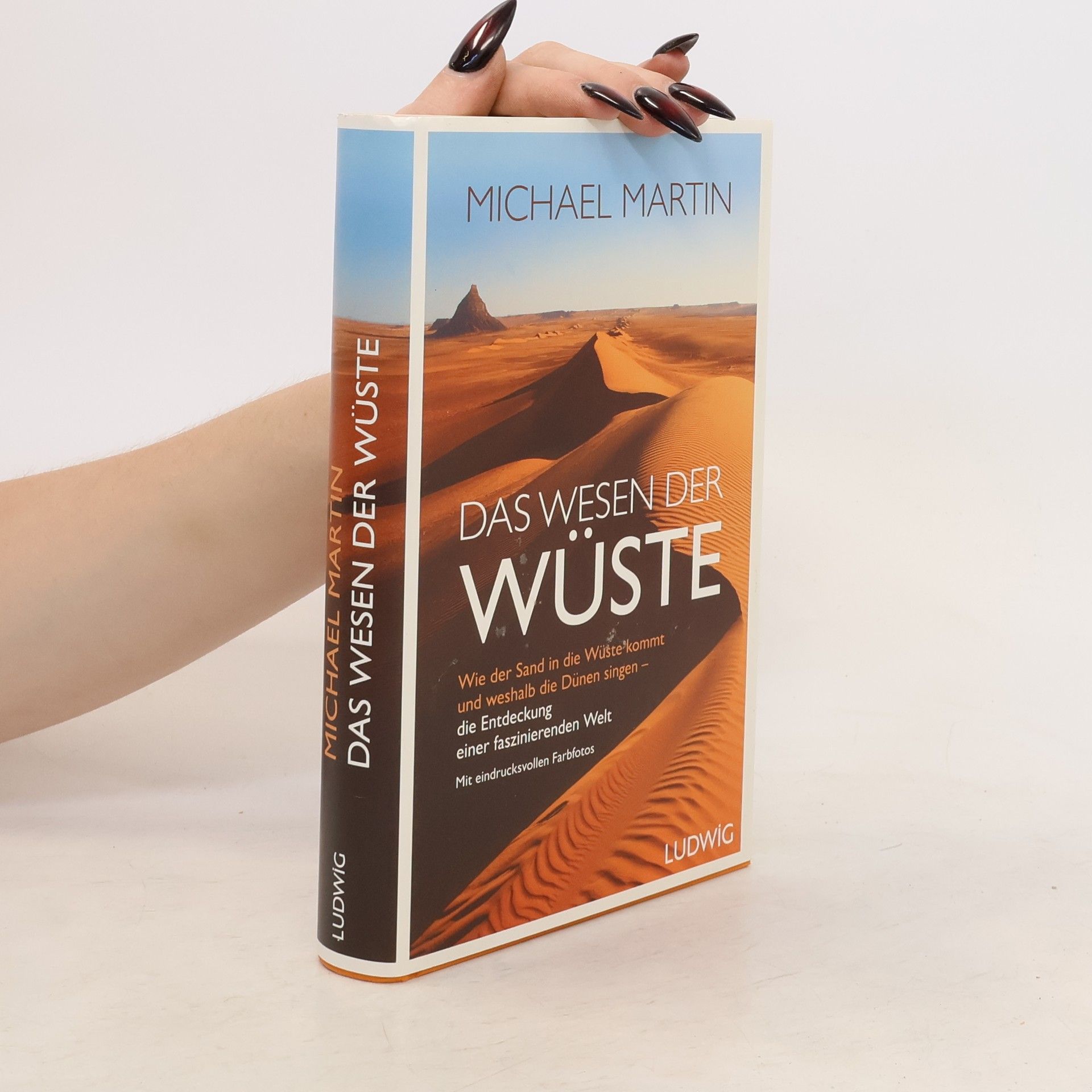 Michael Martin Das Wesen der Wüste