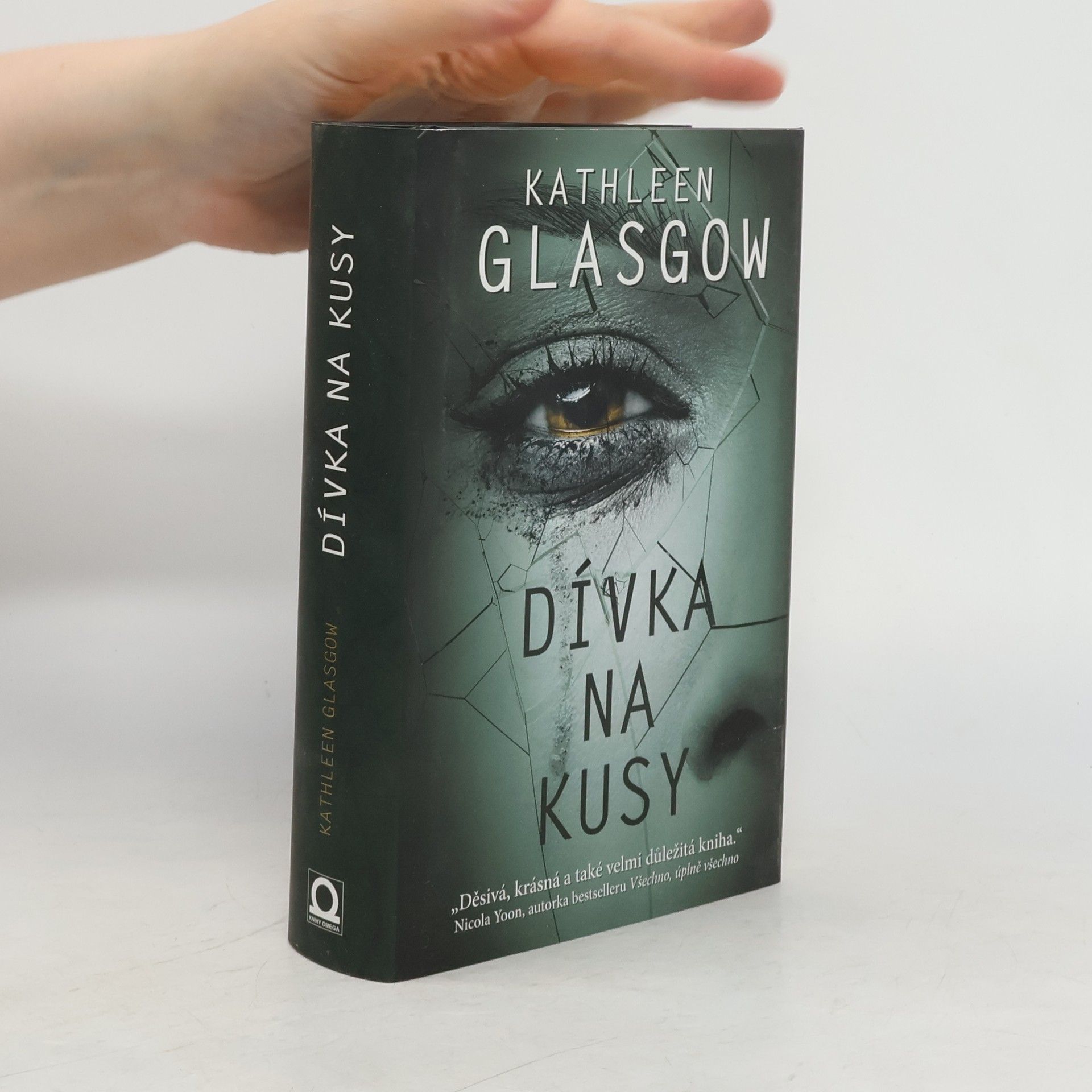 Kathleen Glasgow Dívka na kusy