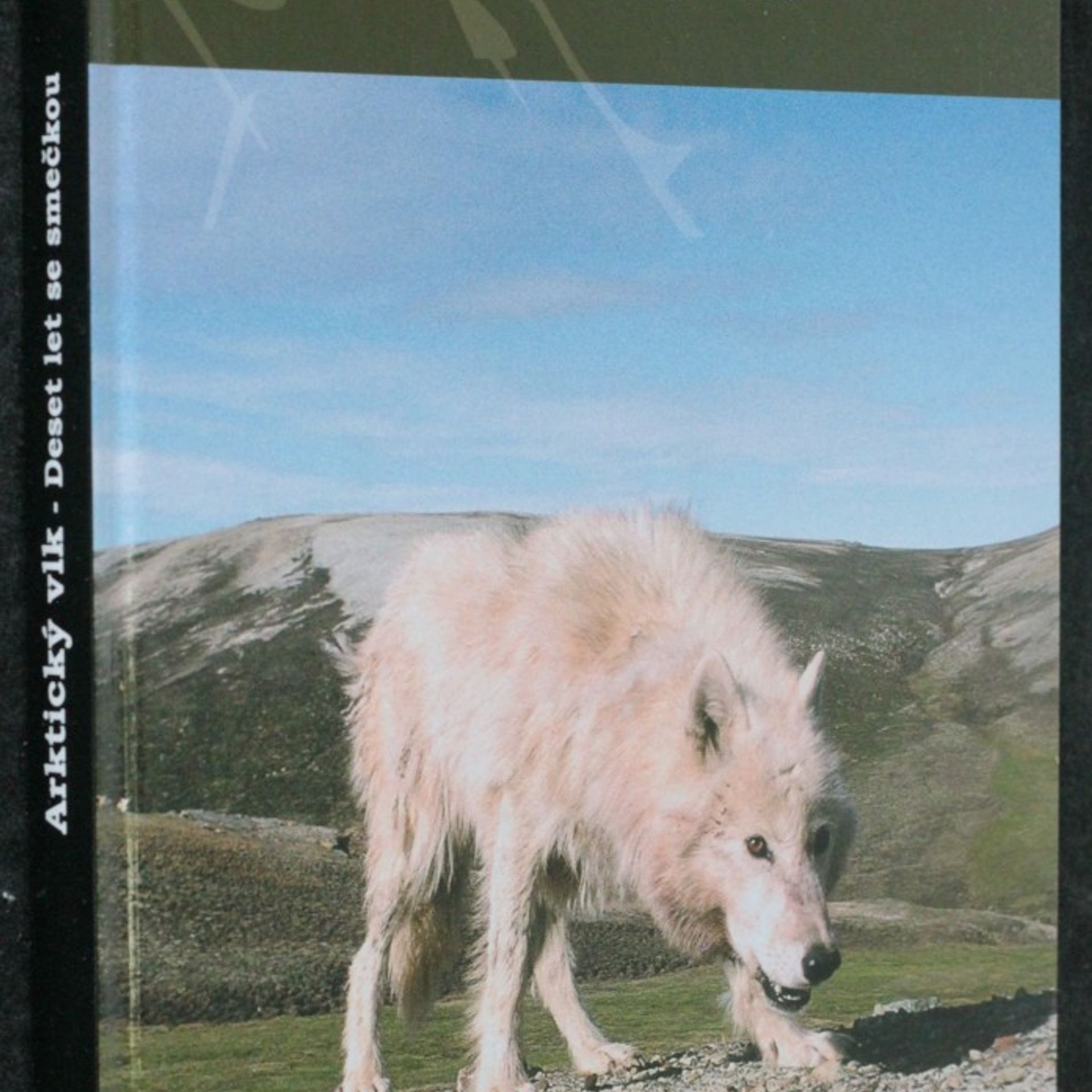 L. David Mech Arktický vlk : deset let se smečkou