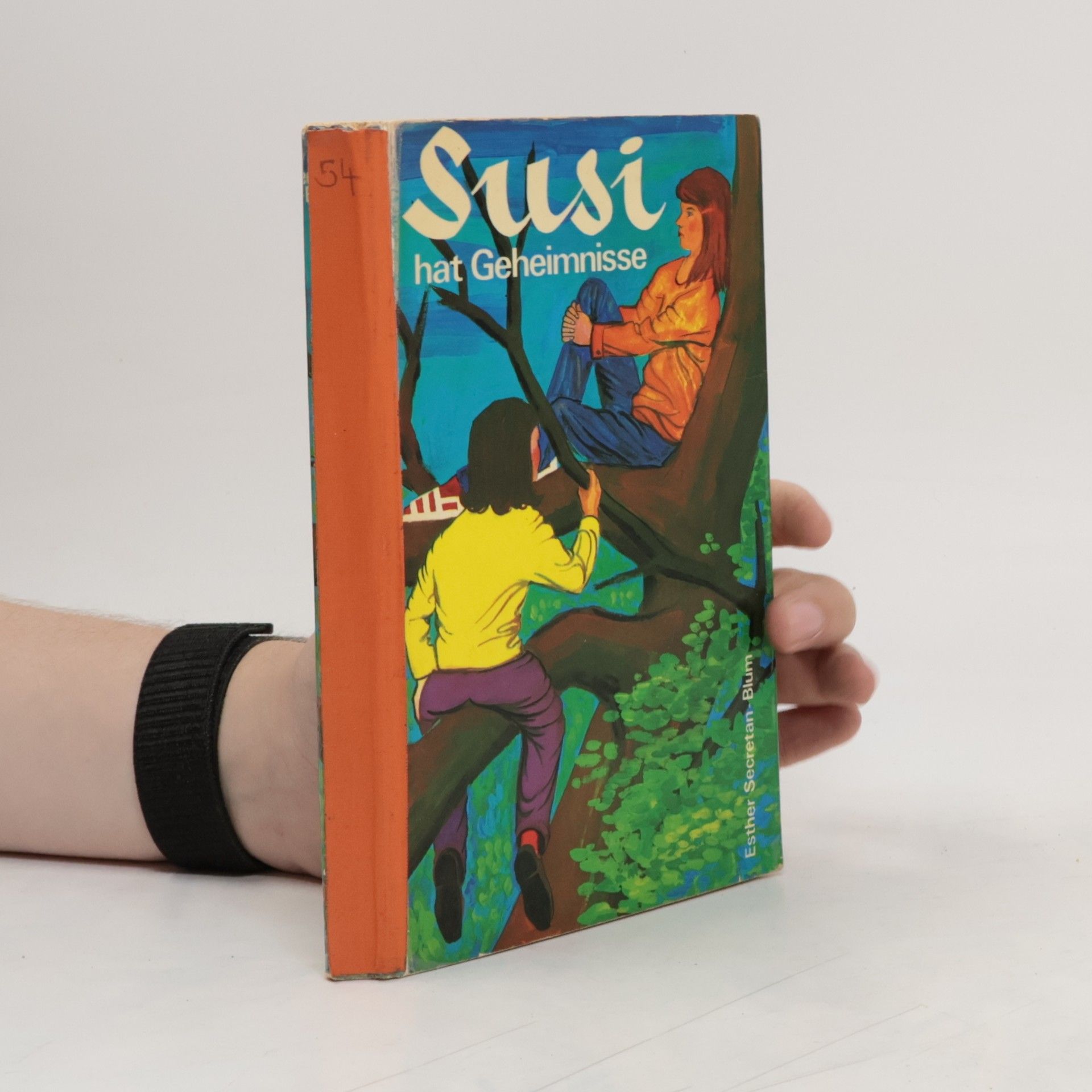 Esther Secretan-Blum Susi hat Geheimnisse