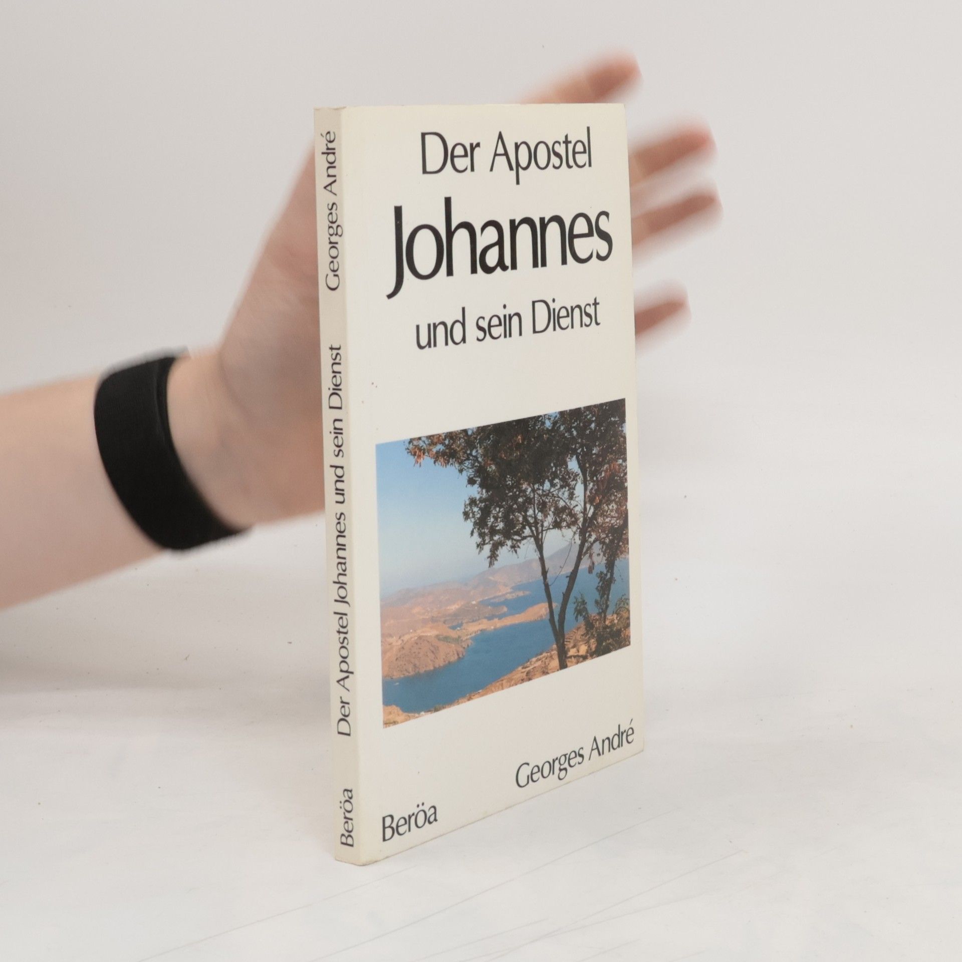 Georges André Der Apostel Johannes und sein Dienst