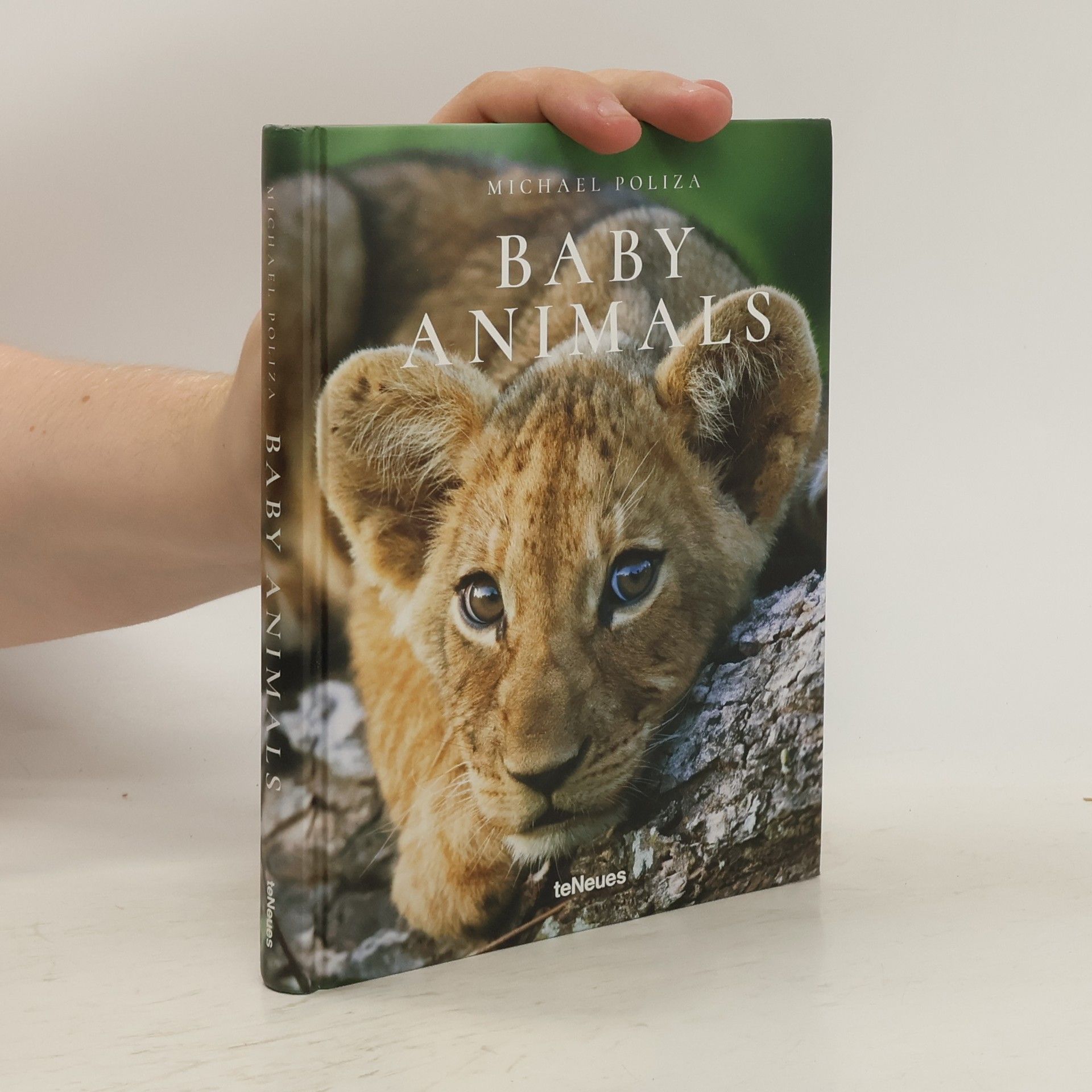 Michael Poliza Baby animals