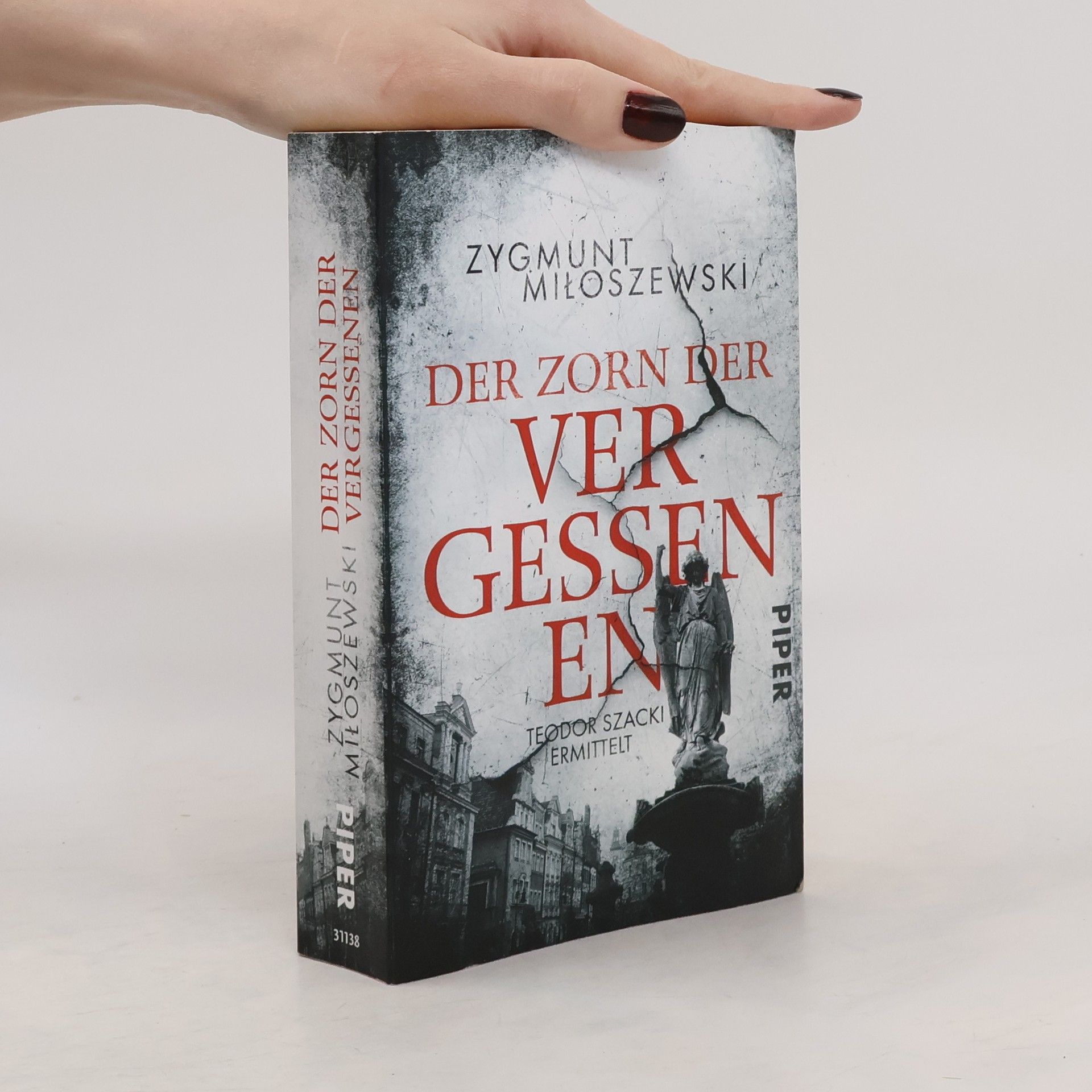 Zygmunt Miłoszewski Der Zorn der Vergessenen