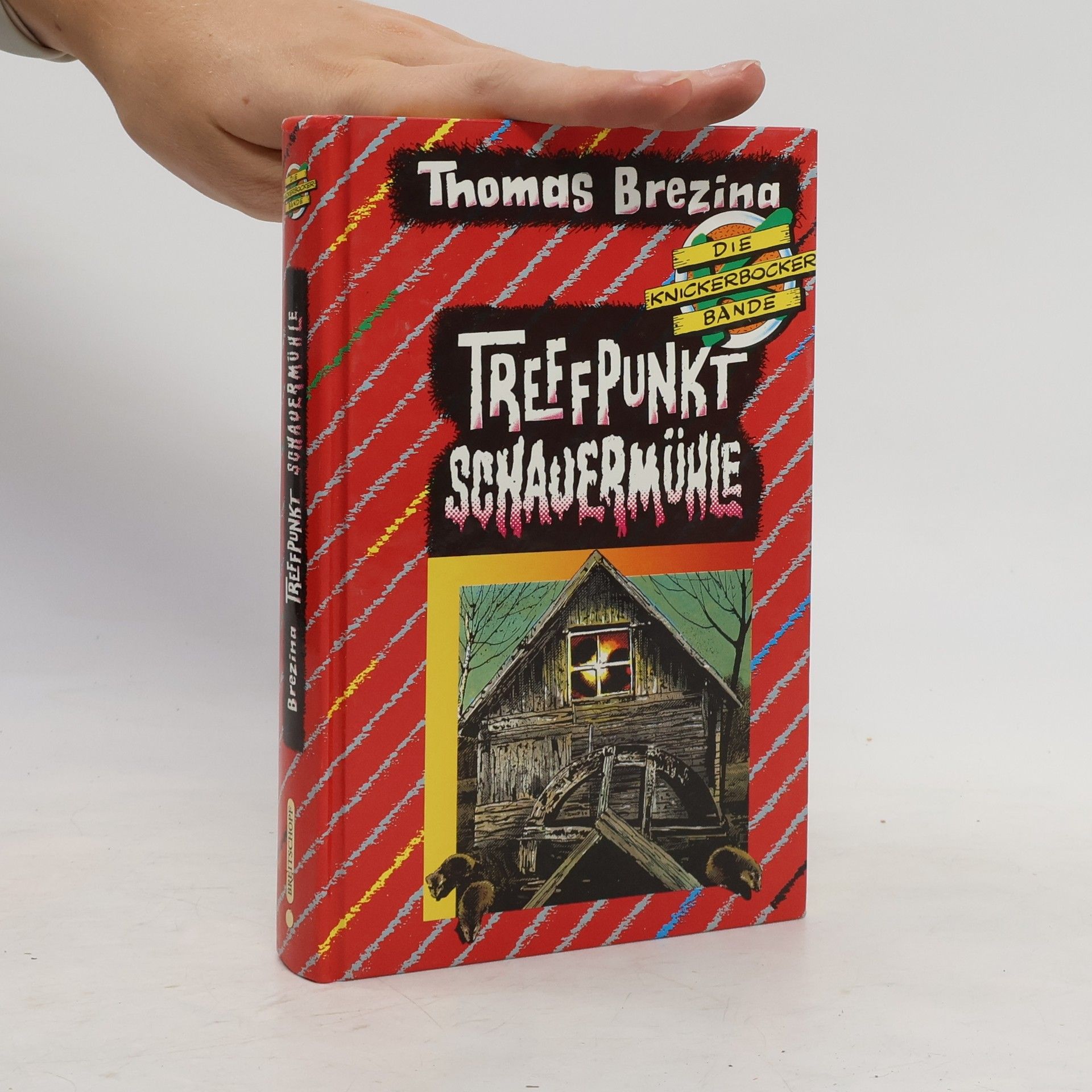 Thomas Brezina Die Knickerbocker-Bande. Trefpunkt Schauermühle