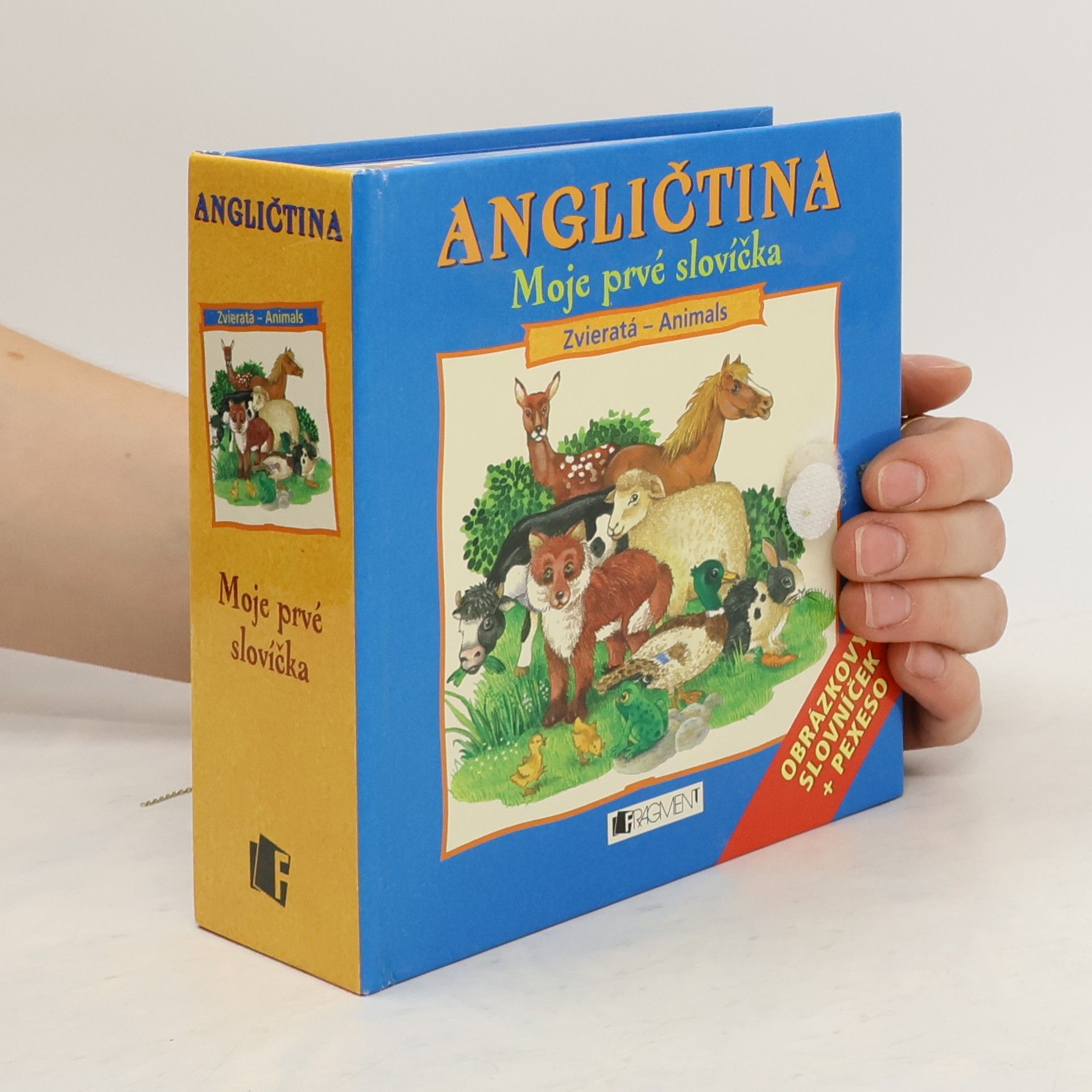 Katharina Siegers Angličtina: Moje prvé slovíčka