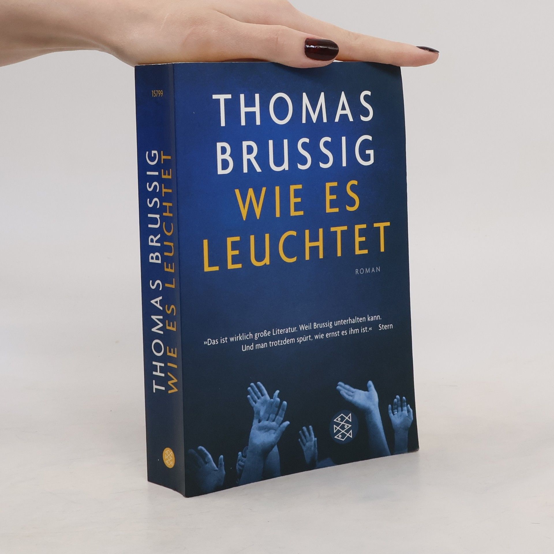 Thomas Brussig Wie es leuchtet : Roman