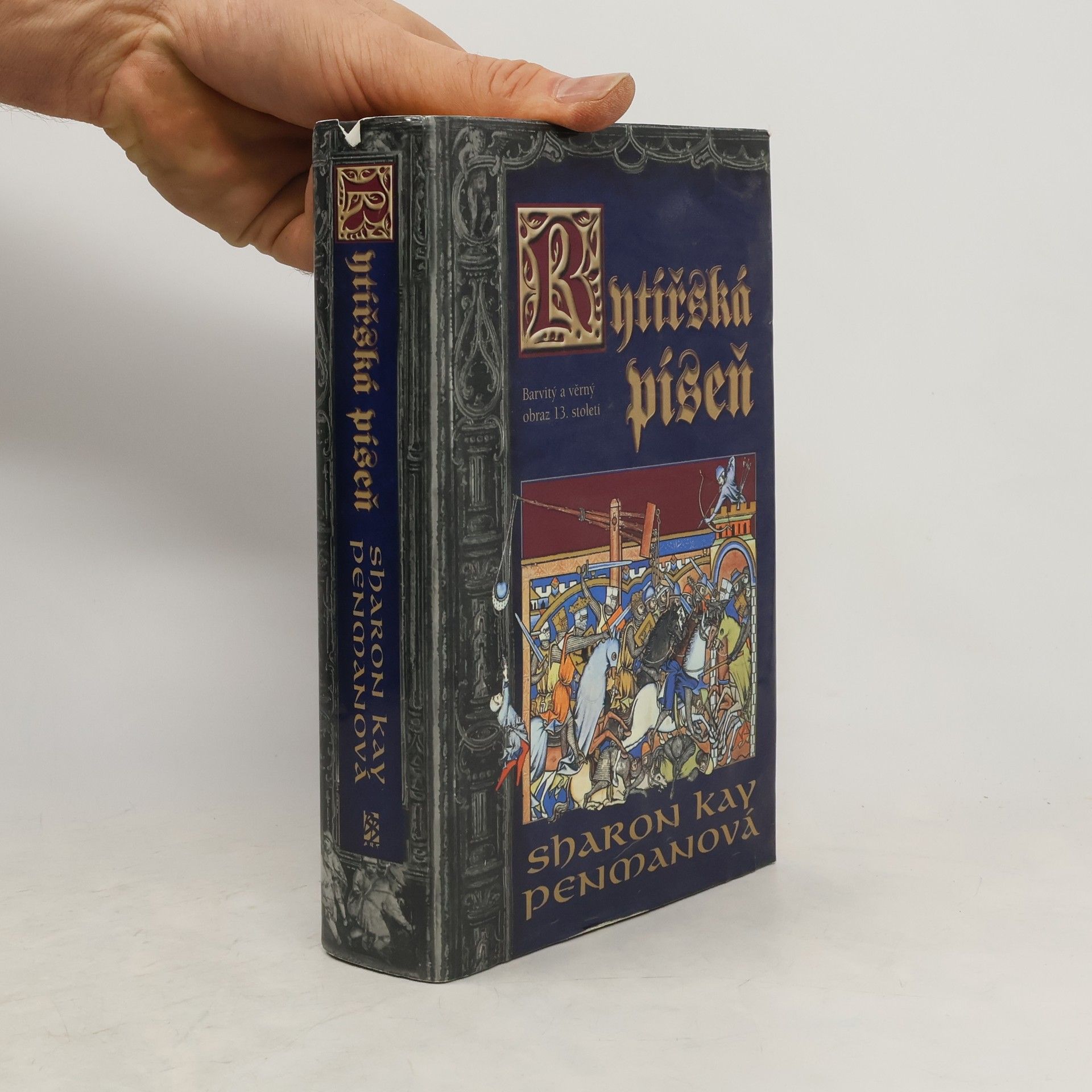 Sharon Kay Penman Rytířská píseň