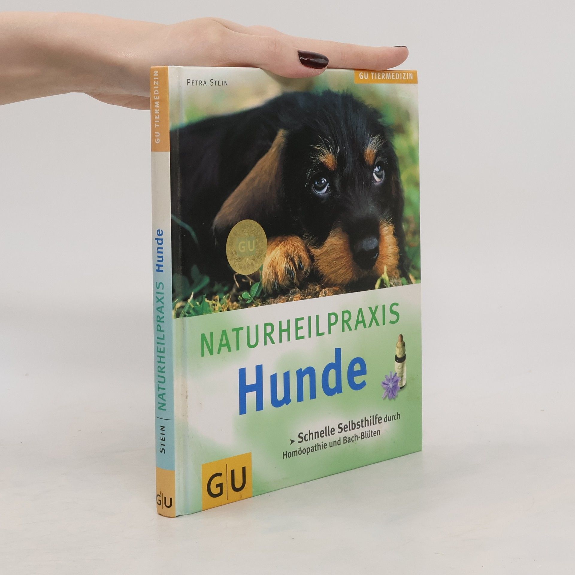 Petra Stein NaturheilPraxis Hunde